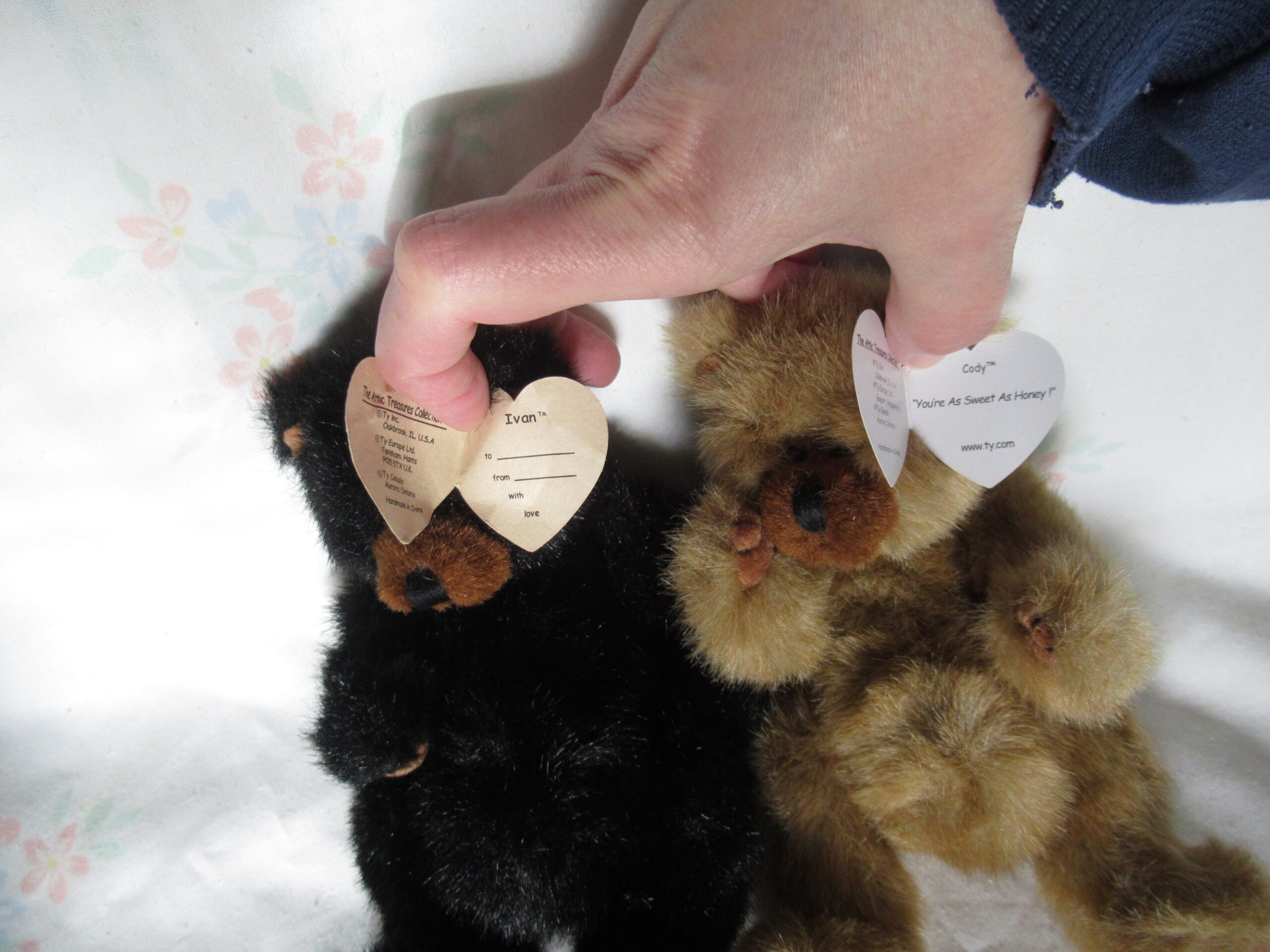 Ty Bears - Allura, Bluebeary, Ivan, Star, Cody - Image 12