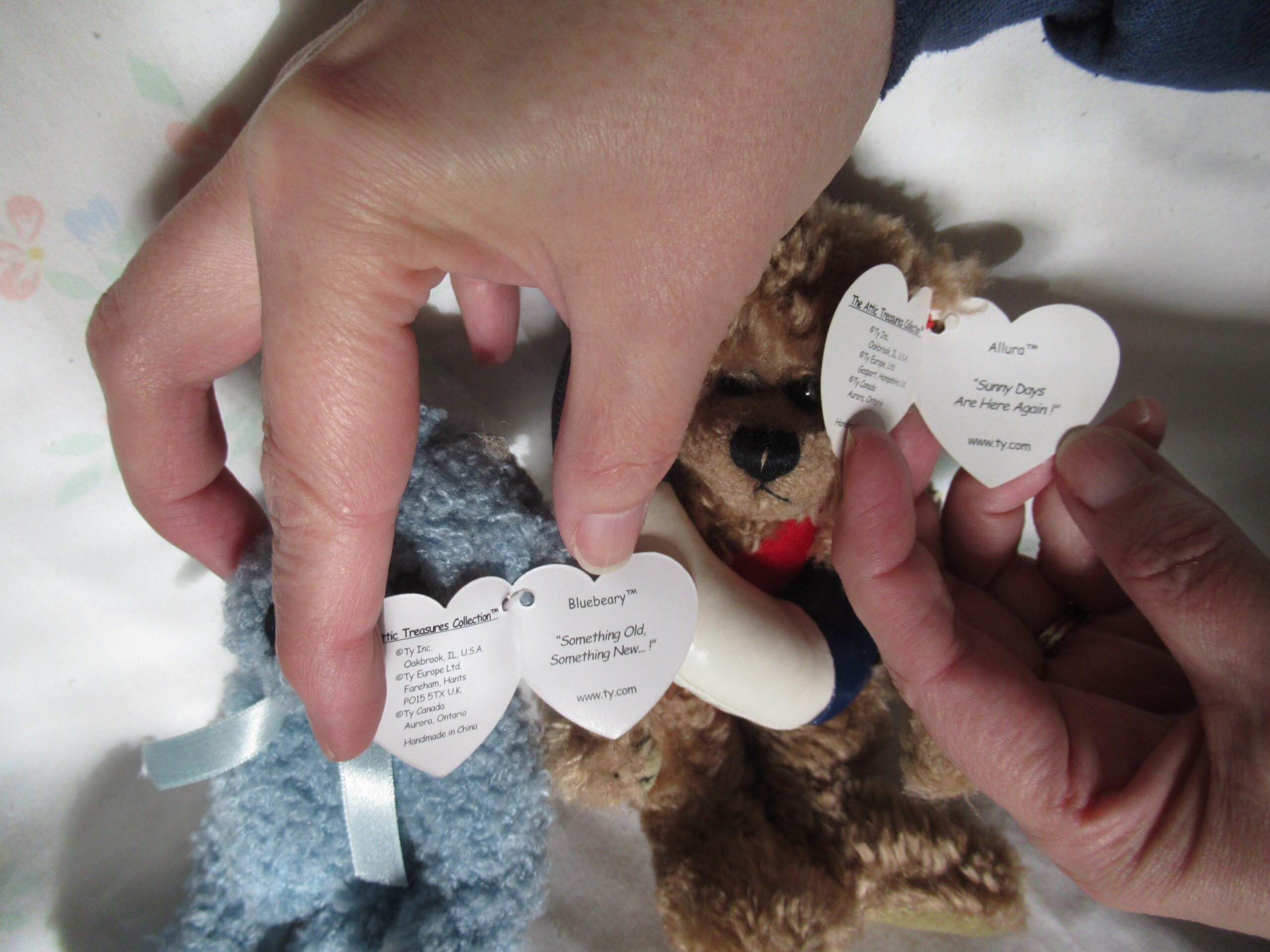 Ty Bears - Allura, Bluebeary, Ivan, Star, Cody - Image 13