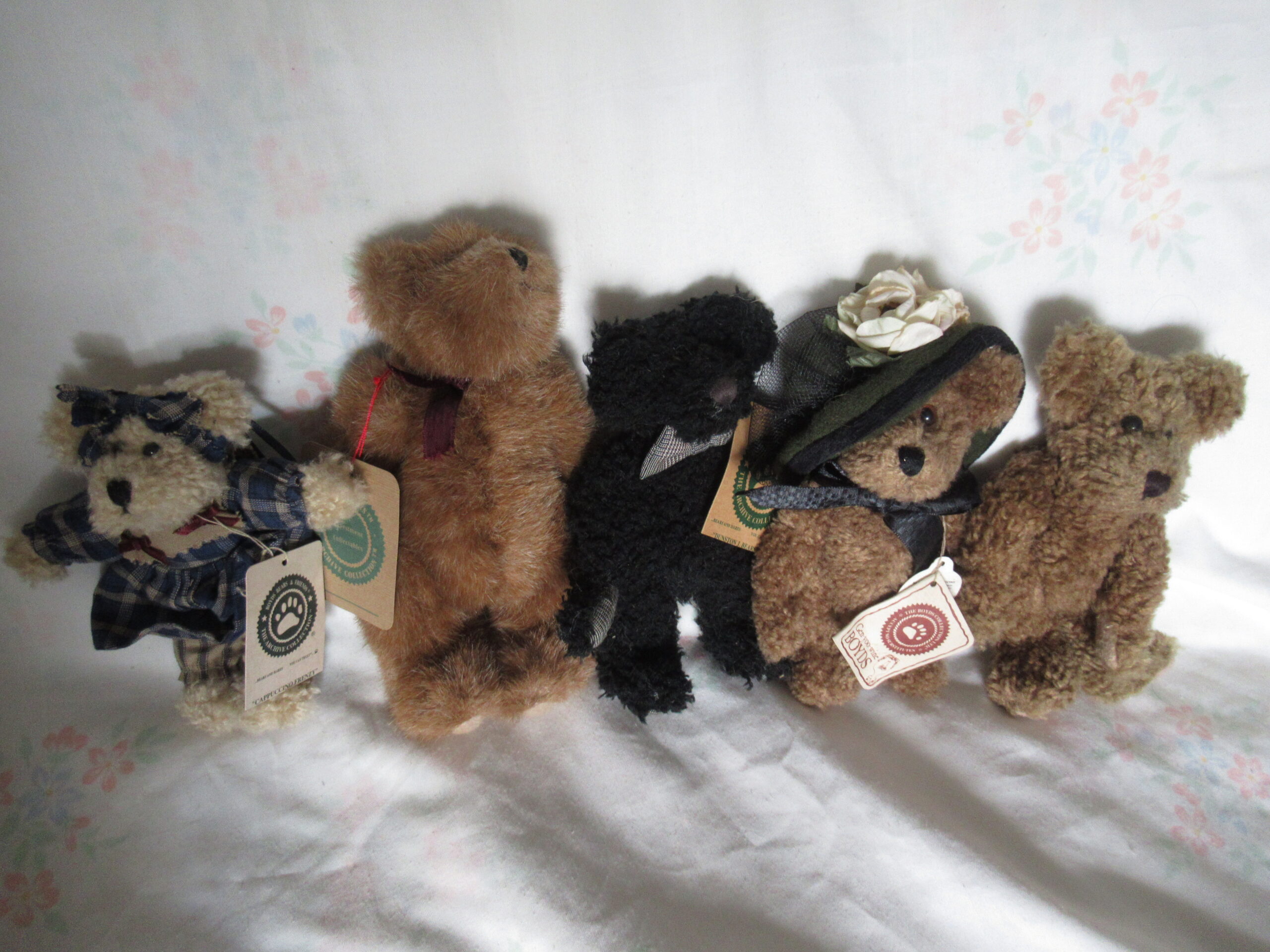 Monique Labearsley, Cappuccino Frenzy, Dunston Bearsford etc