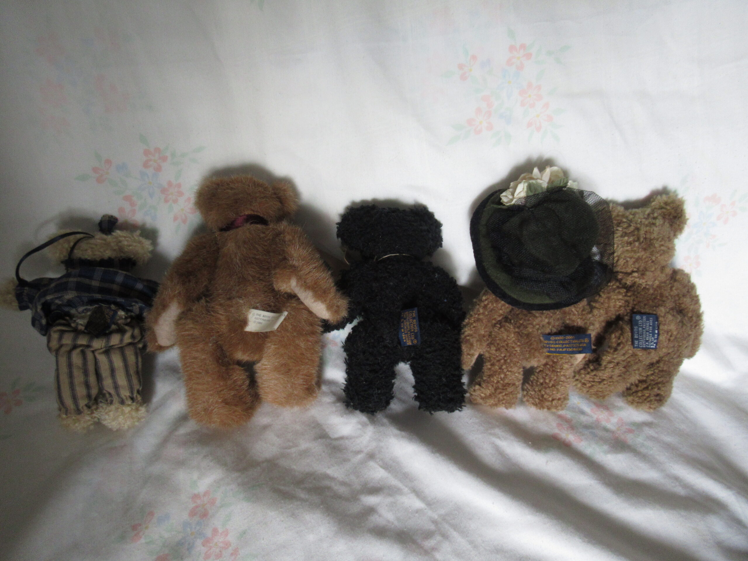 Monique Labearsley, Cappuccino Frenzy, Dunston Bearsford etc - Image 2