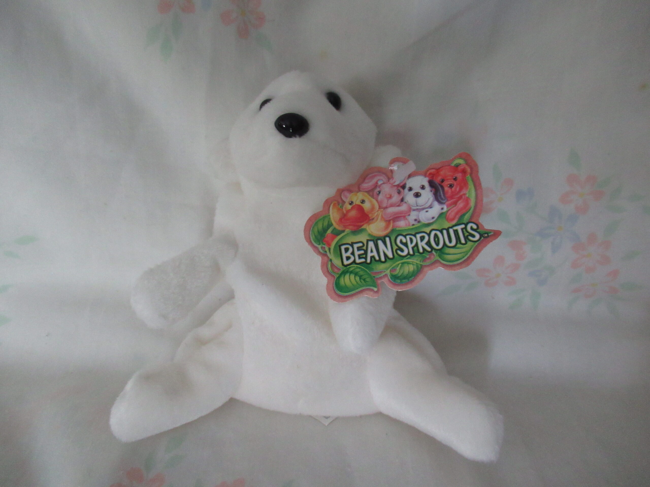 Fillmore East, March of Dimes Pepper and Hippie, Sasha, etc. - Image 6