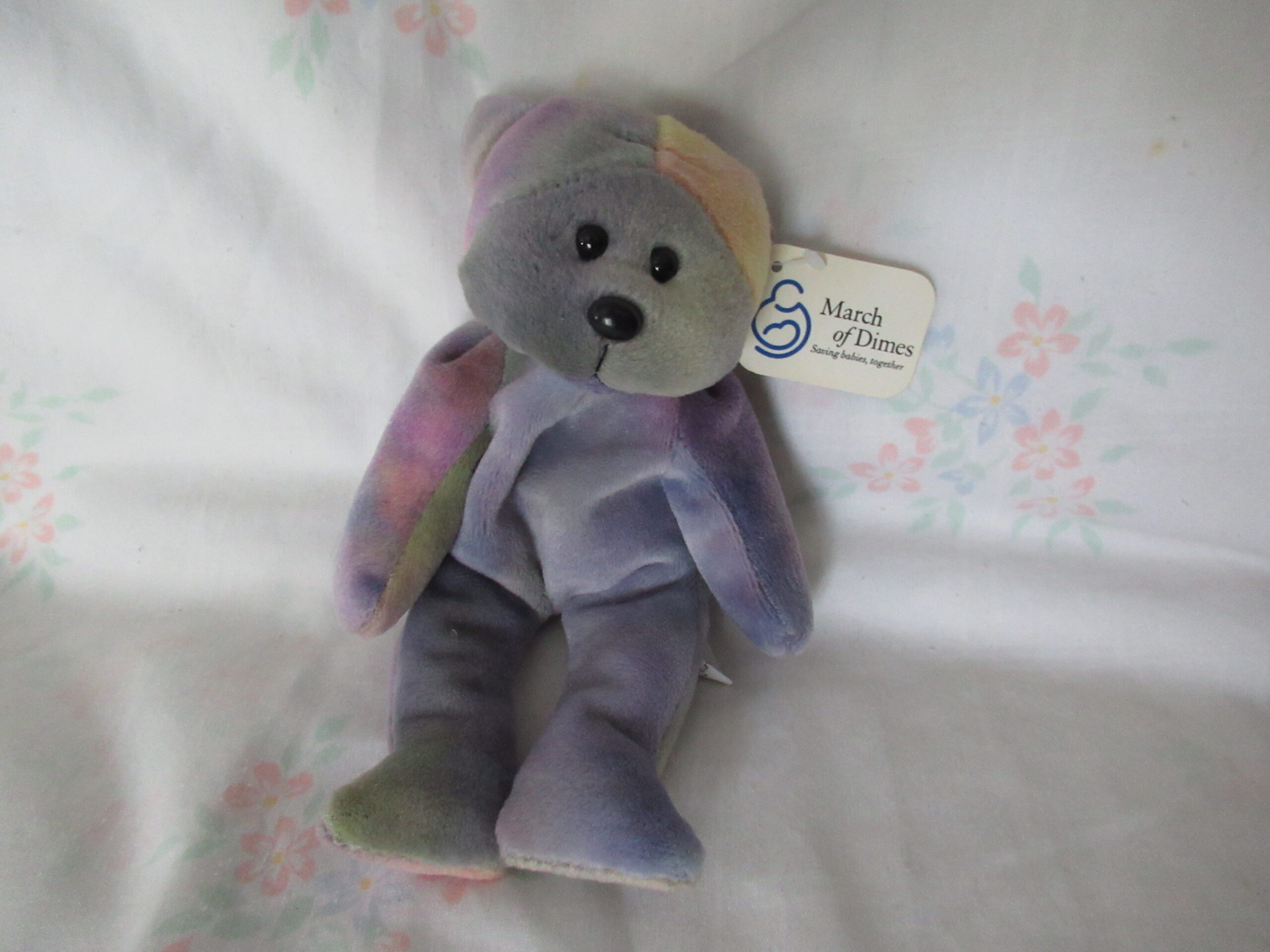 Fillmore East, March of Dimes Pepper and Hippie, Sasha, etc. - Image 3