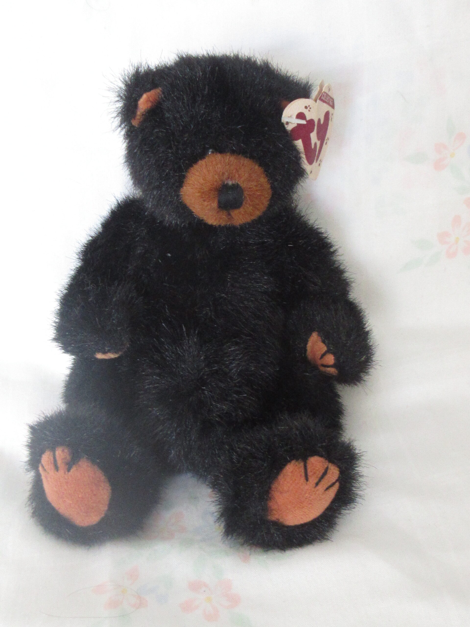 Ty Bears - Allura, Bluebeary, Ivan, Star, Cody - Image 6