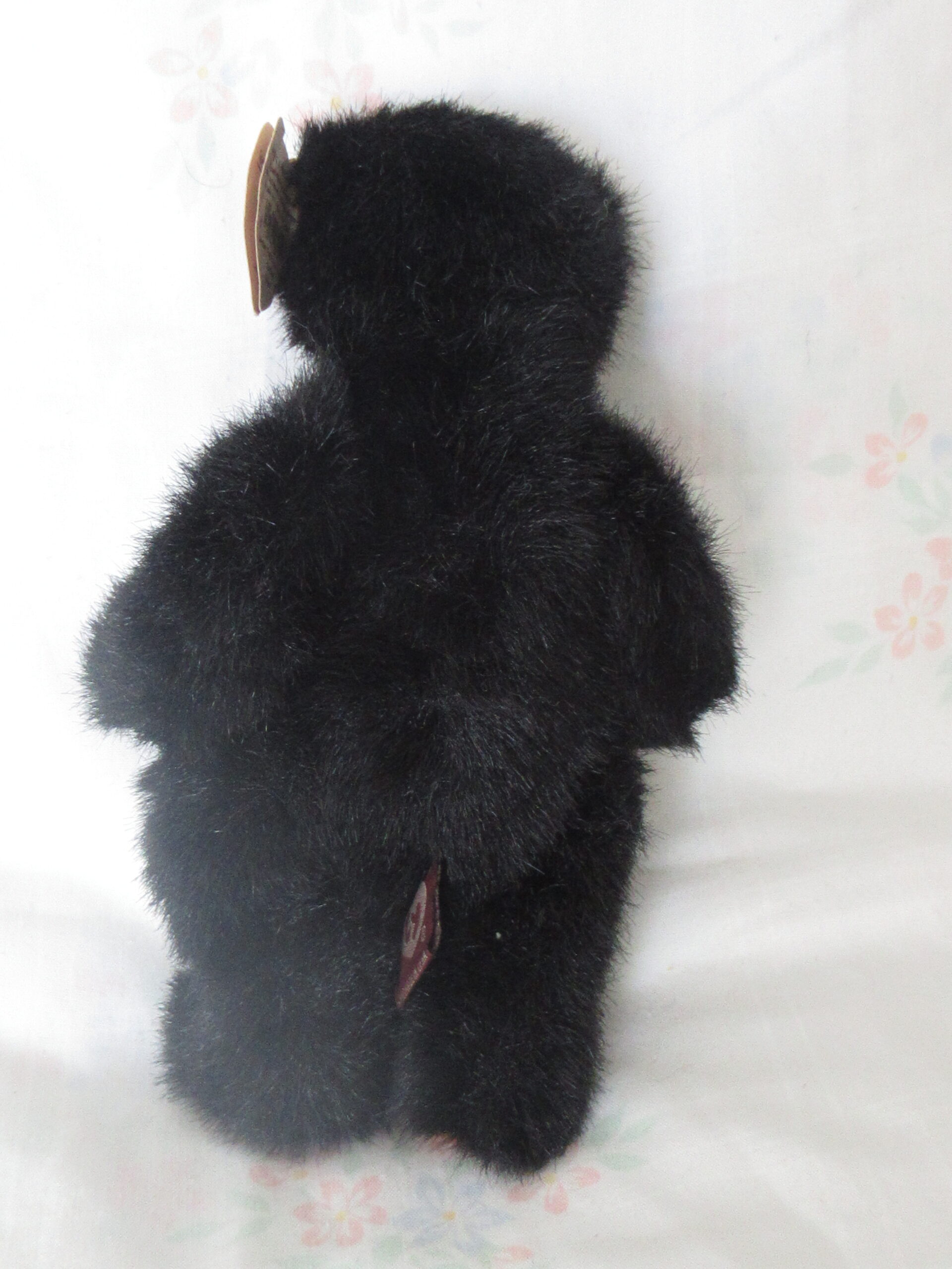 Ty Bears - Allura, Bluebeary, Ivan, Star, Cody - Image 7