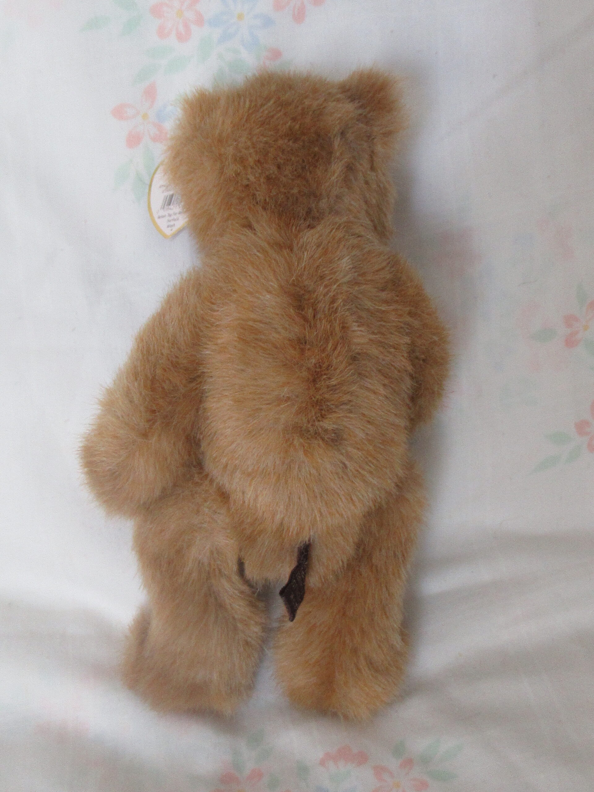 Ty Bears - Allura, Bluebeary, Ivan, Star, Cody - Image 11