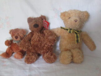 Chauncy Jr, Schlepp and Golden Bear With Plaid Bow