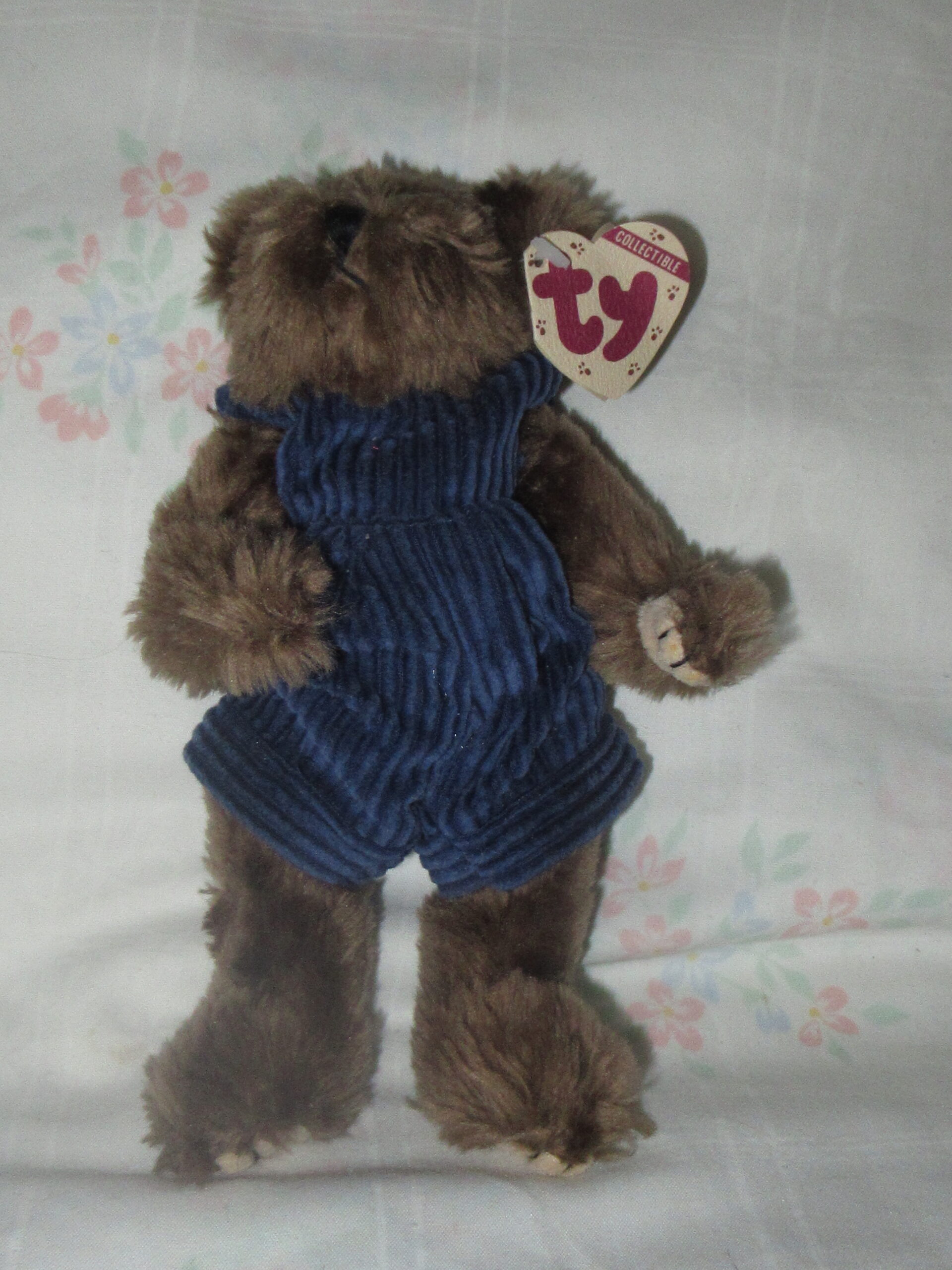 Christopher, Bear with Ty Jacket, Calliope, Cody, Ivan - Image 2