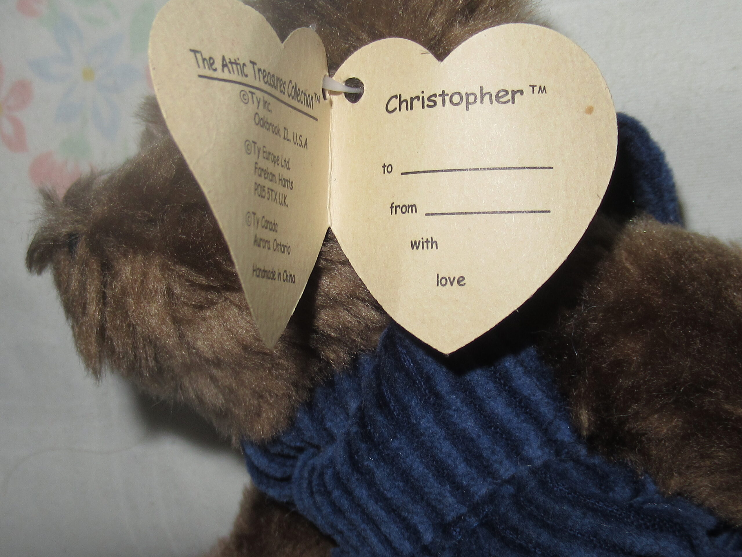 Christopher, Bear with Ty Jacket, Calliope, Cody, Ivan - Image 4