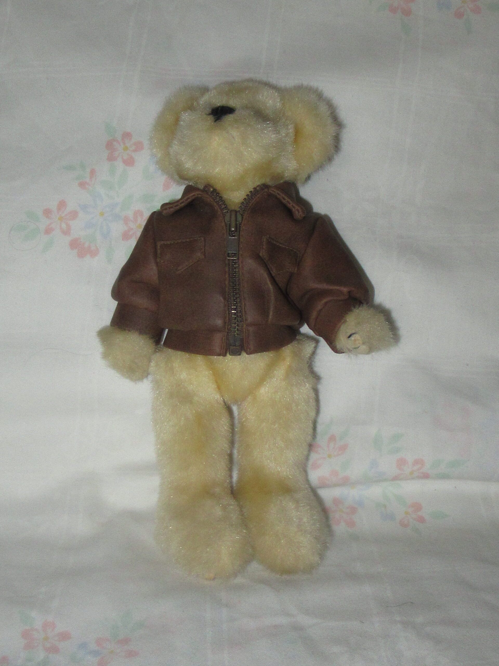 Christopher, Bear with Ty Jacket, Calliope, Cody, Ivan - Image 5