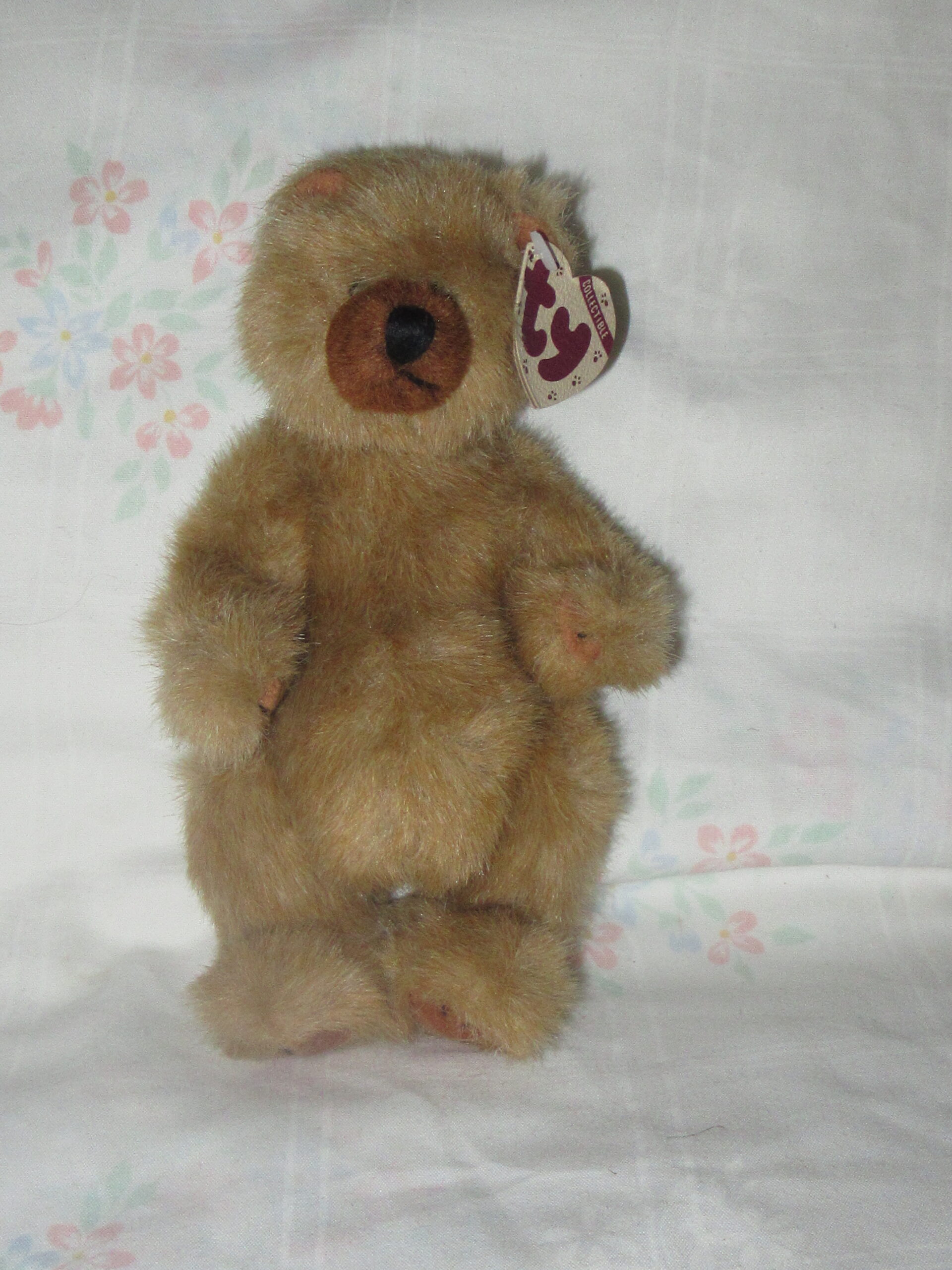 Christopher, Bear with Ty Jacket, Calliope, Cody, Ivan - Image 10