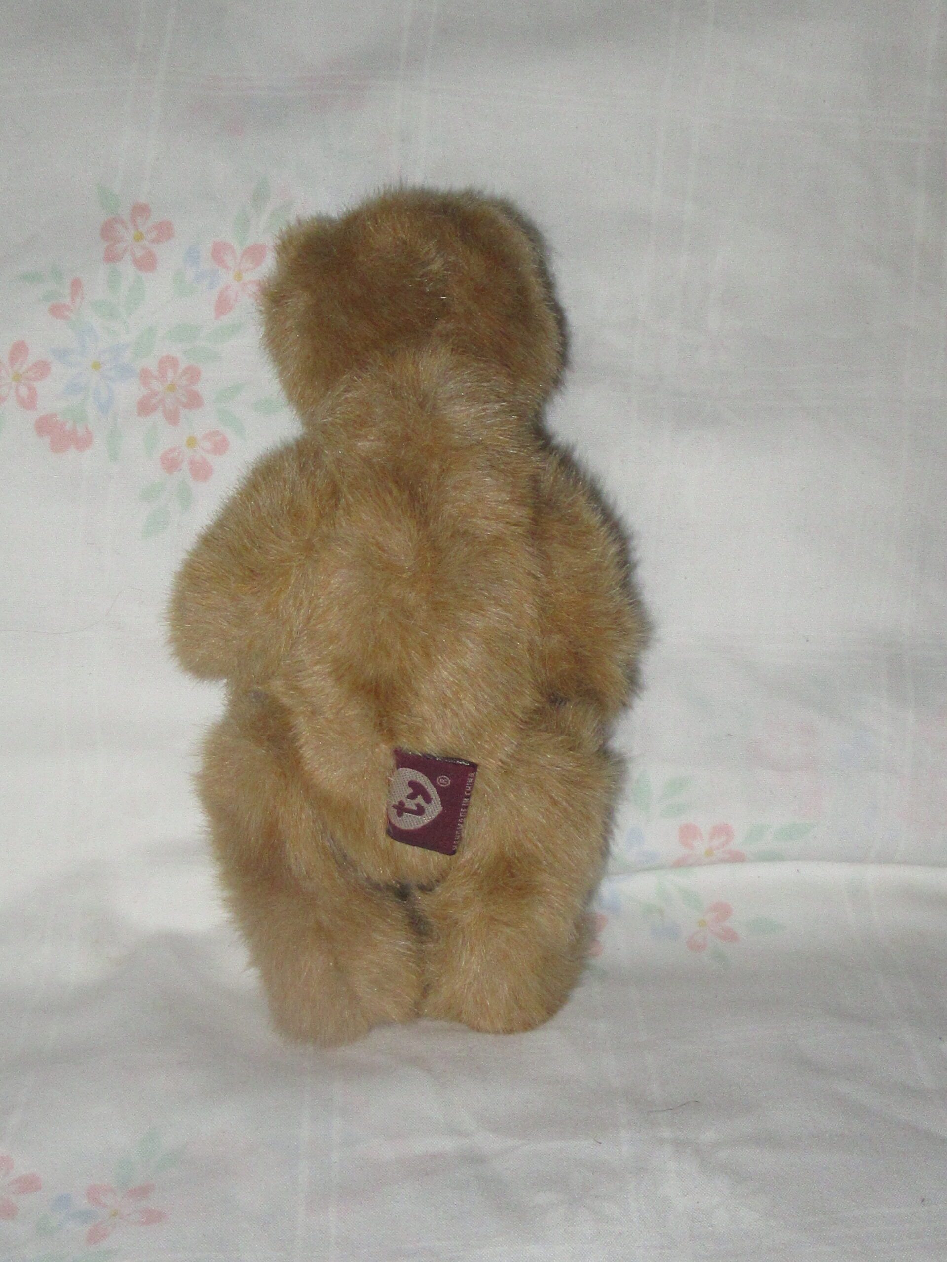 Christopher, Bear with Ty Jacket, Calliope, Cody, Ivan - Image 11