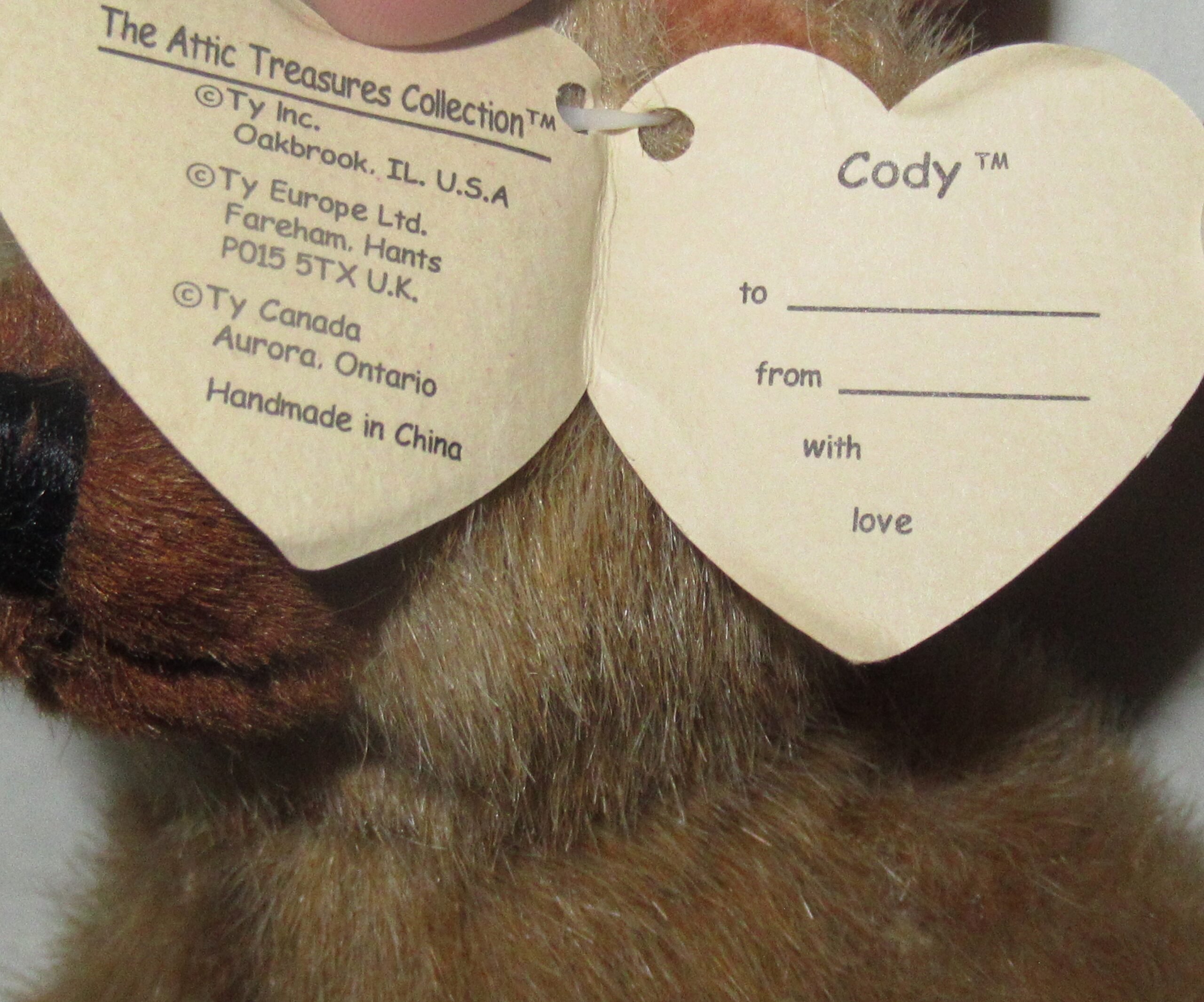 Christopher, Bear with Ty Jacket, Calliope, Cody, Ivan - Image 12