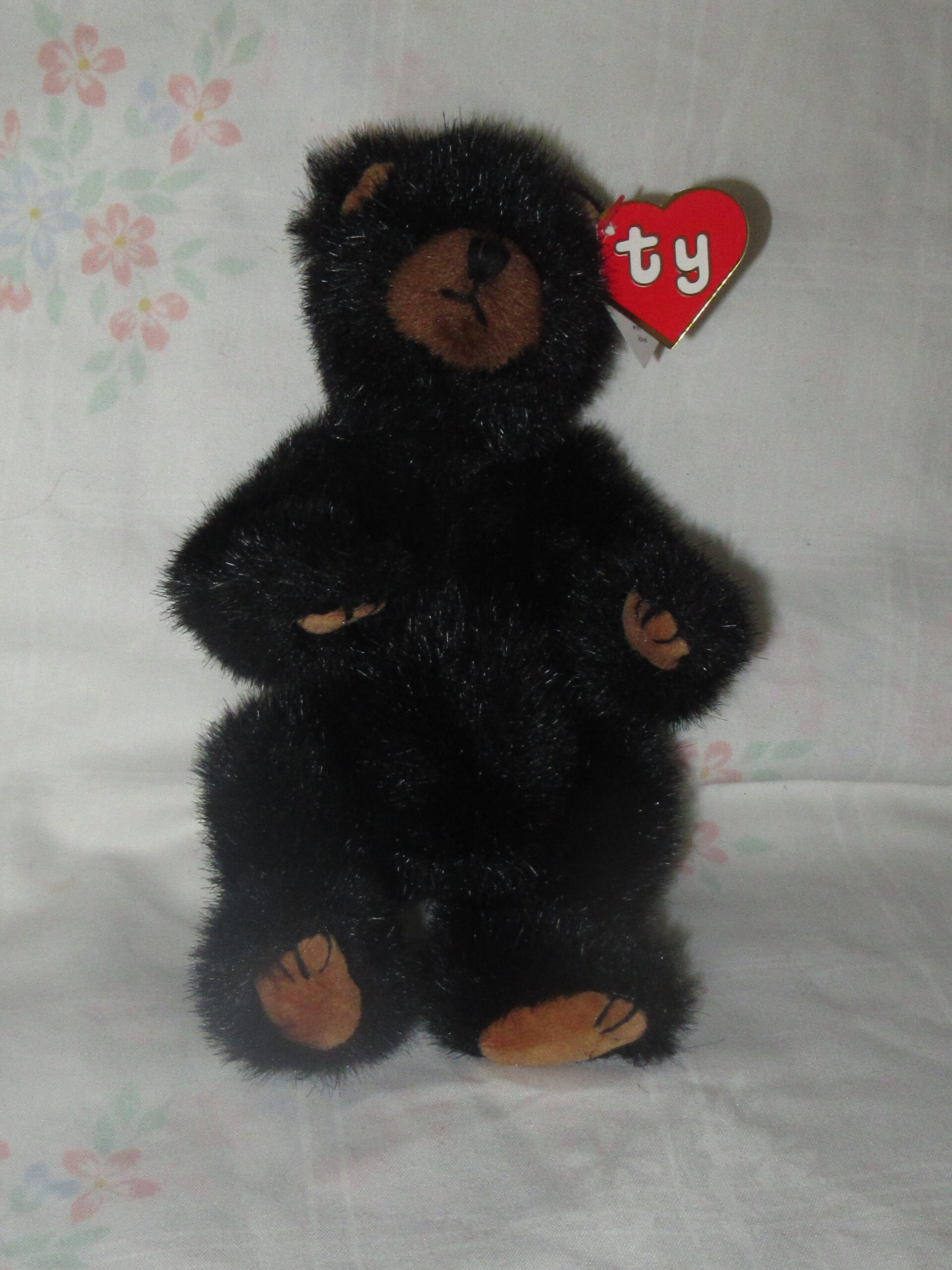 Christopher, Bear with Ty Jacket, Calliope, Cody, Ivan - Image 13