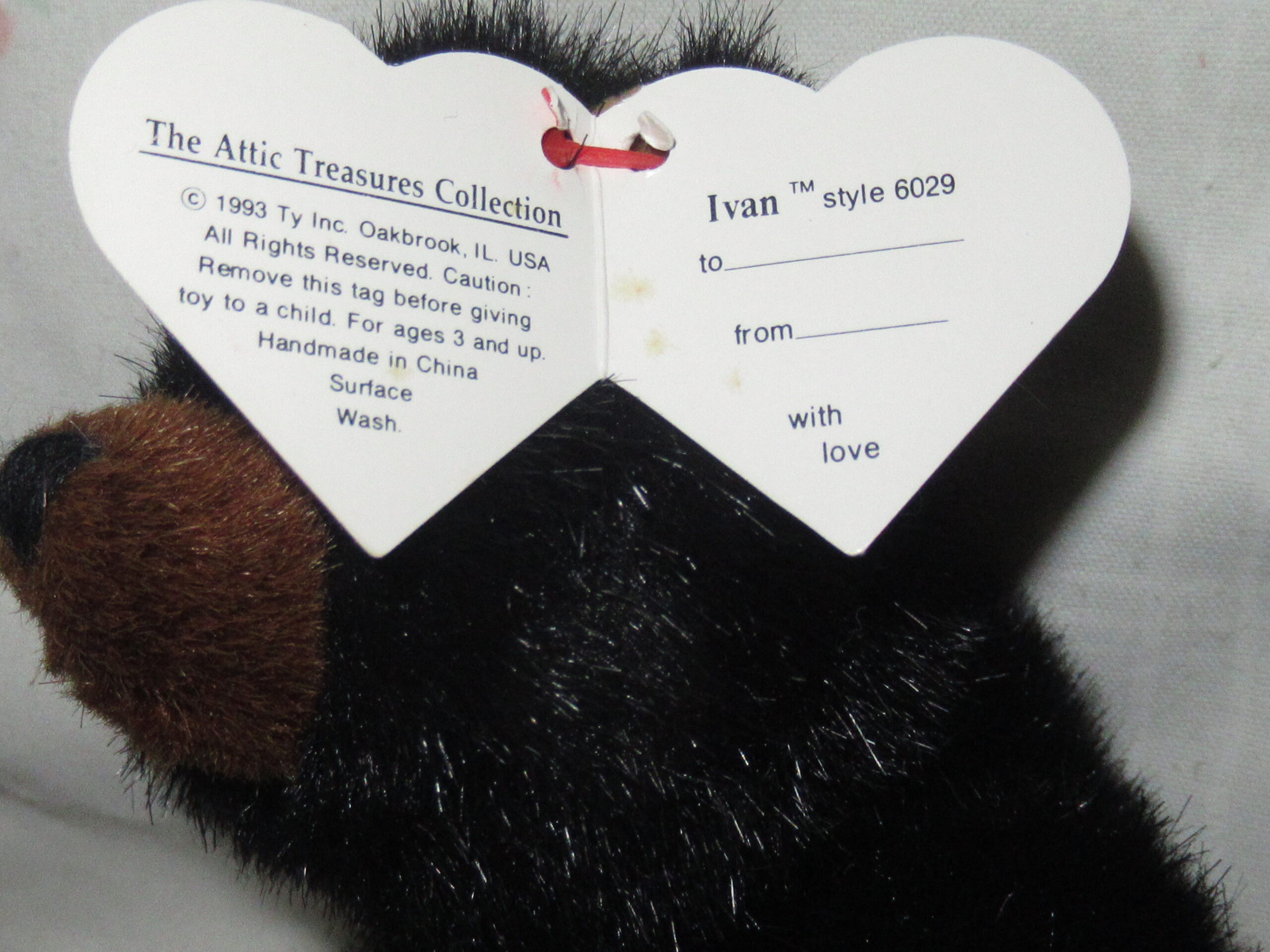 Christopher, Bear with Ty Jacket, Calliope, Cody, Ivan - Image 15