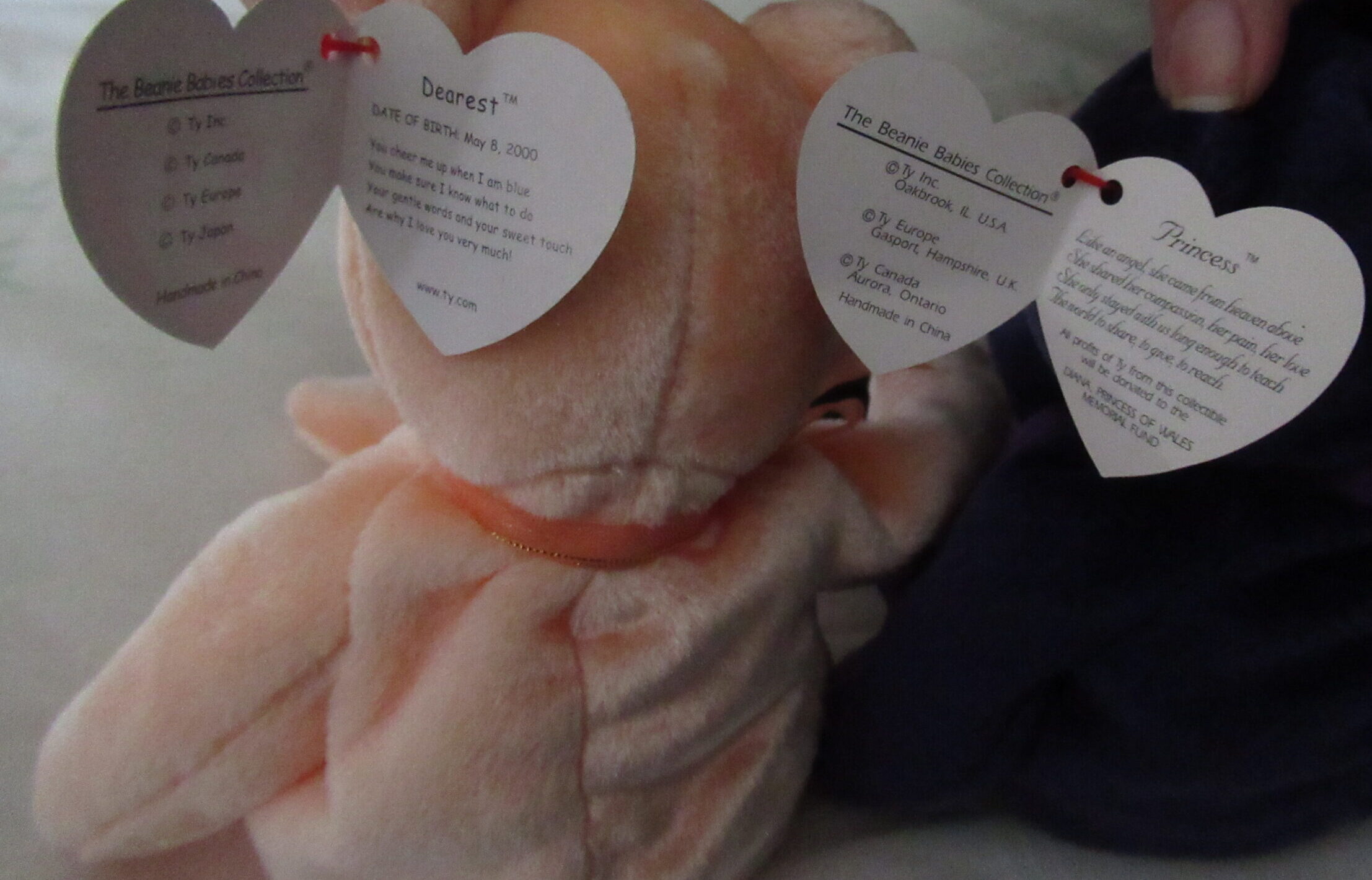 Princess, Dearest, Curly, Signature Bear, Clubby IV, Woody - Image 10