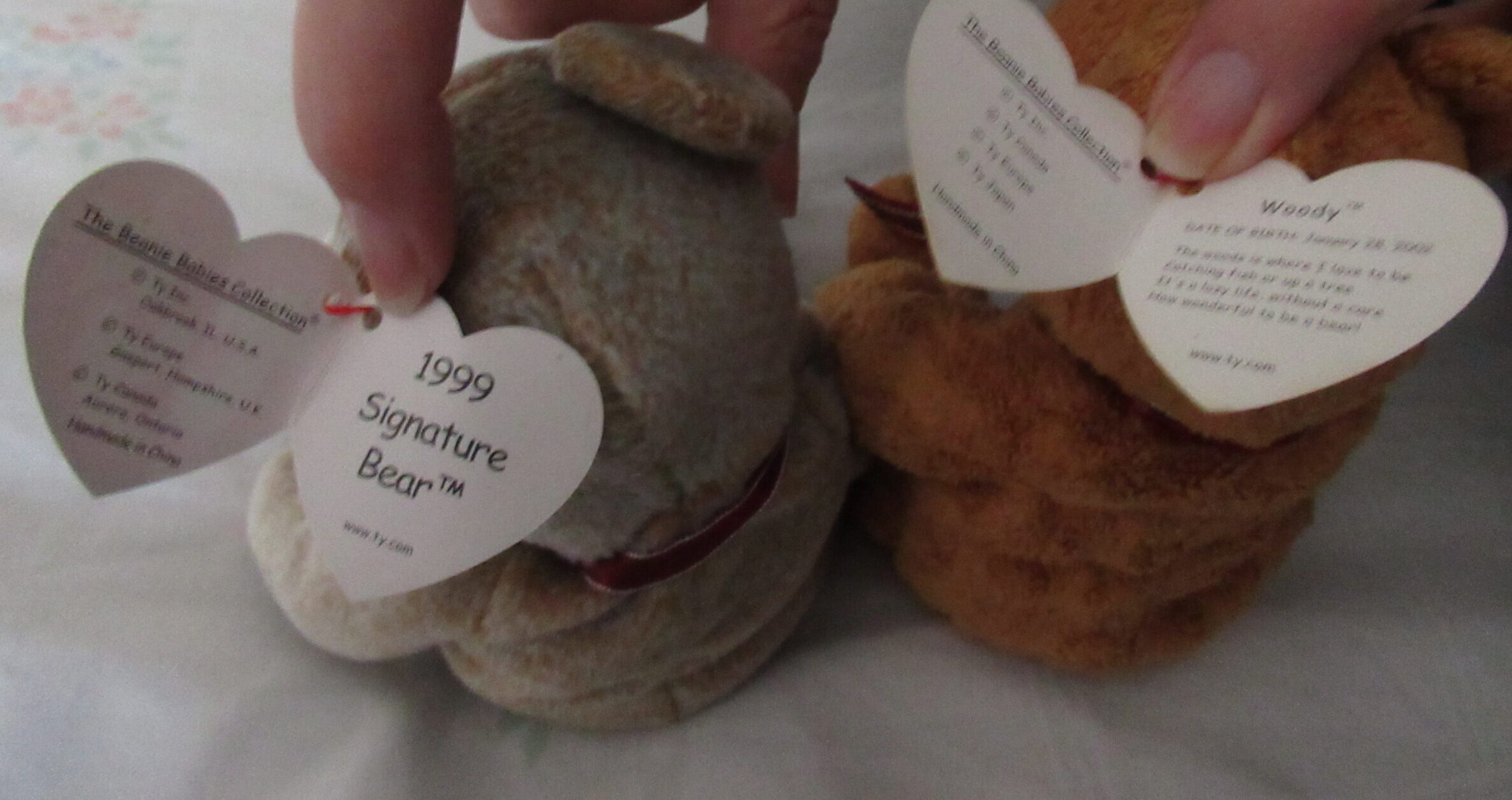 Princess, Dearest, Curly, Signature Bear, Clubby IV, Woody - Image 11