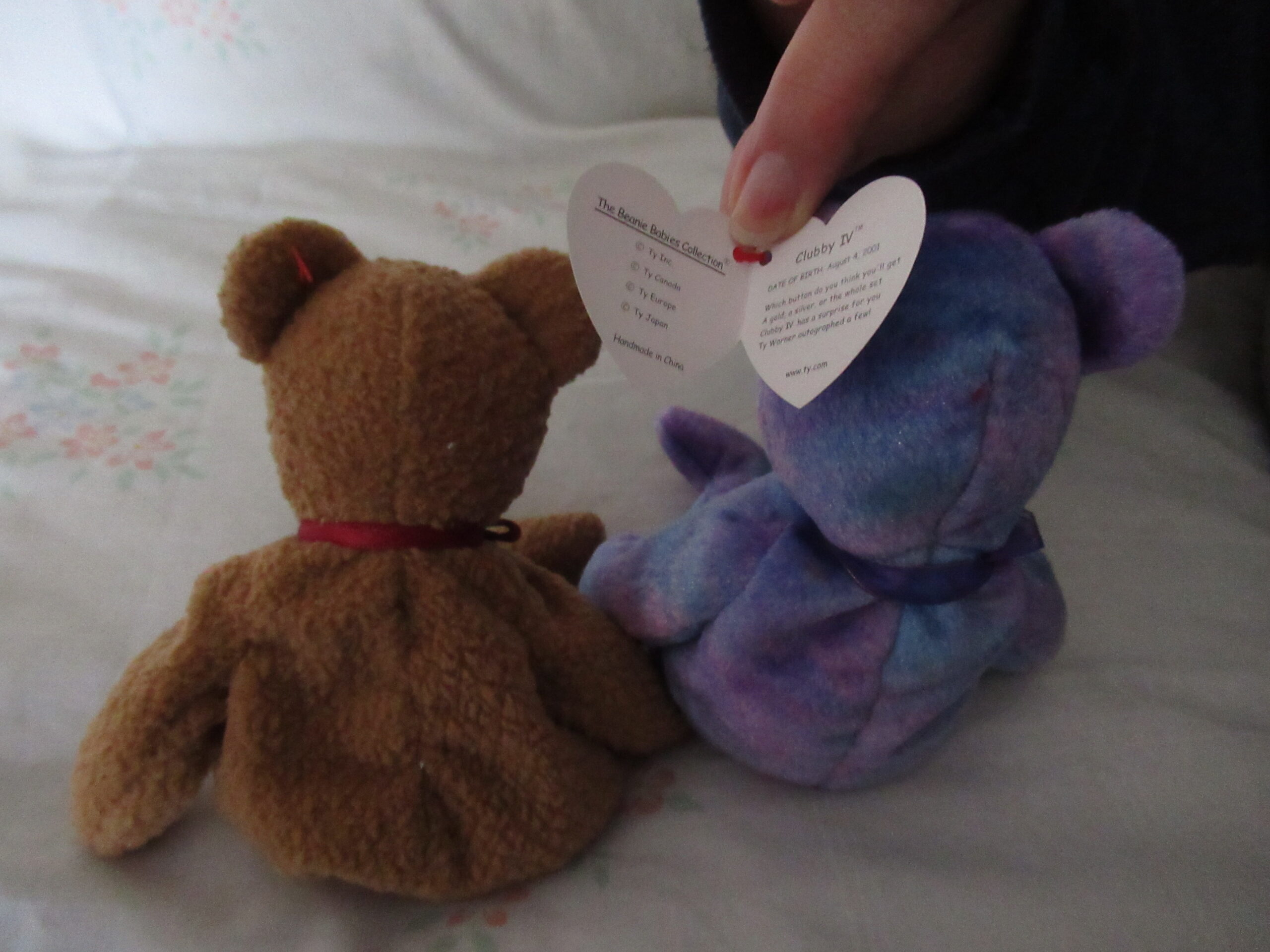 Princess, Dearest, Curly, Signature Bear, Clubby IV, Woody - Image 4