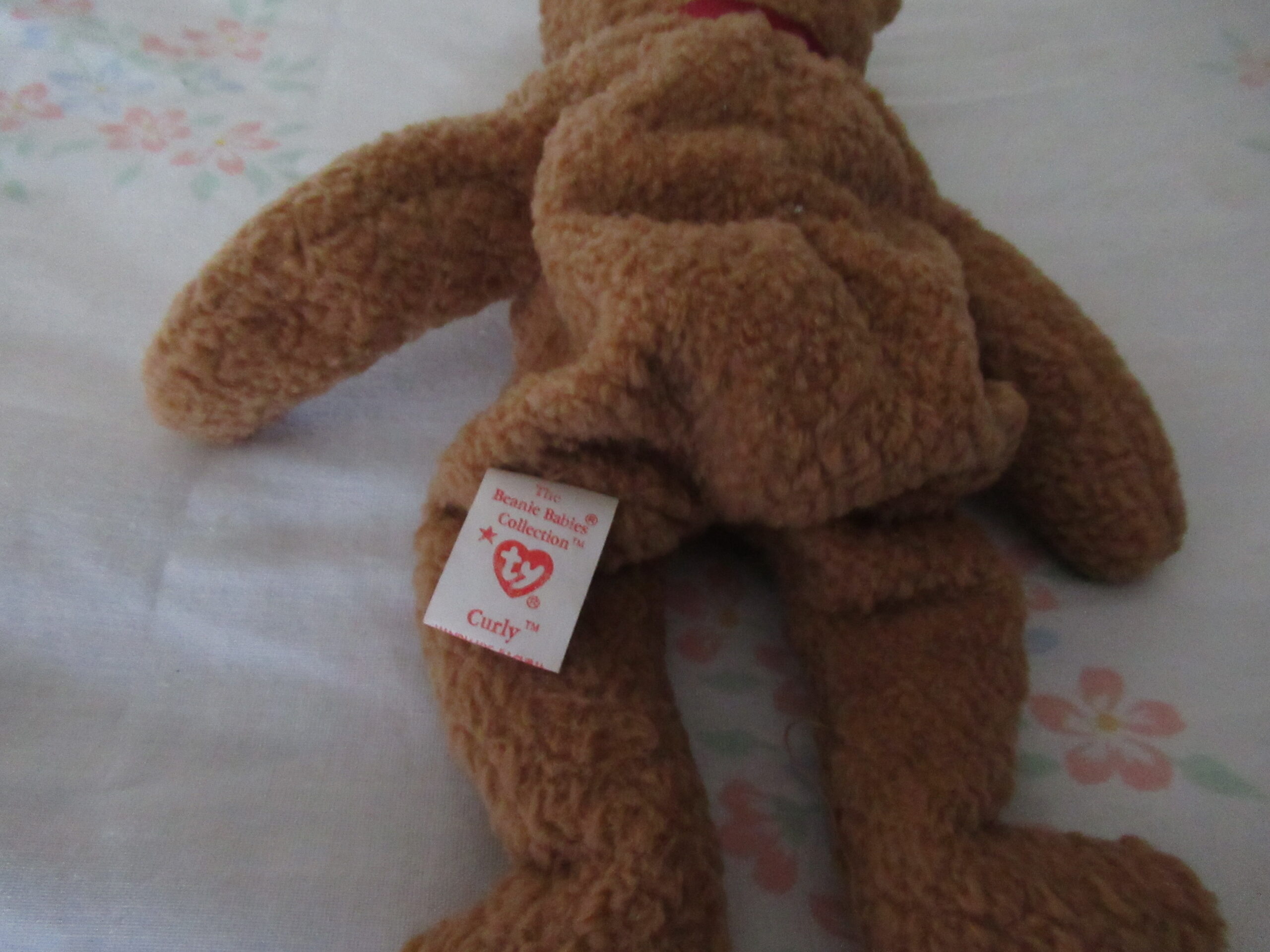 Princess, Dearest, Curly, Signature Bear, Clubby IV, Woody - Image 5