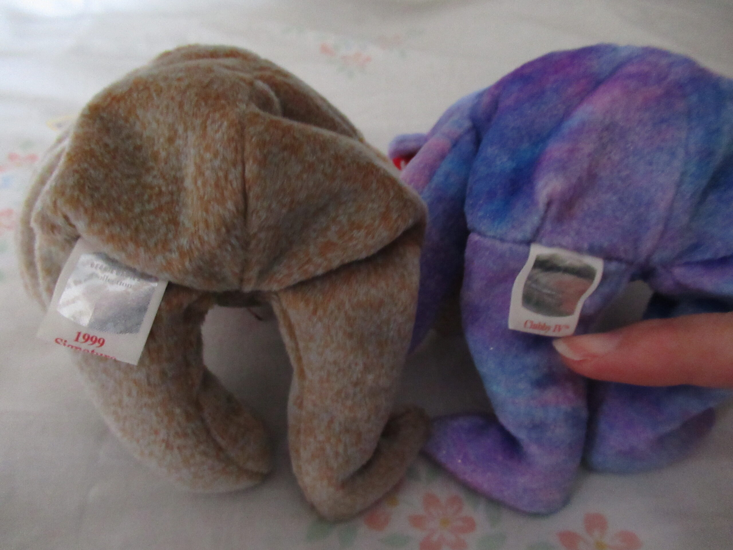 Princess, Dearest, Curly, Signature Bear, Clubby IV, Woody - Image 6