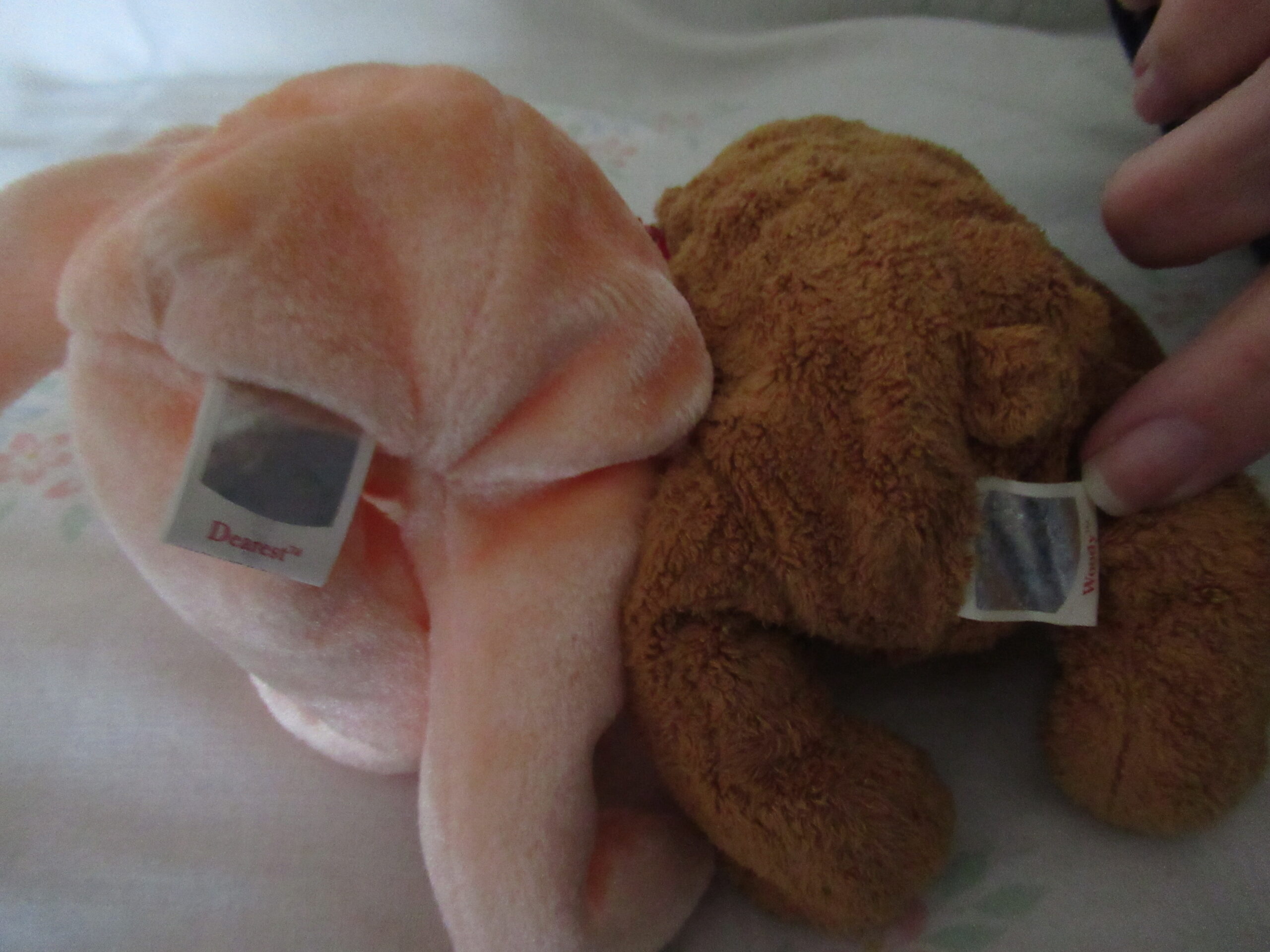 Princess, Dearest, Curly, Signature Bear, Clubby IV, Woody - Image 7