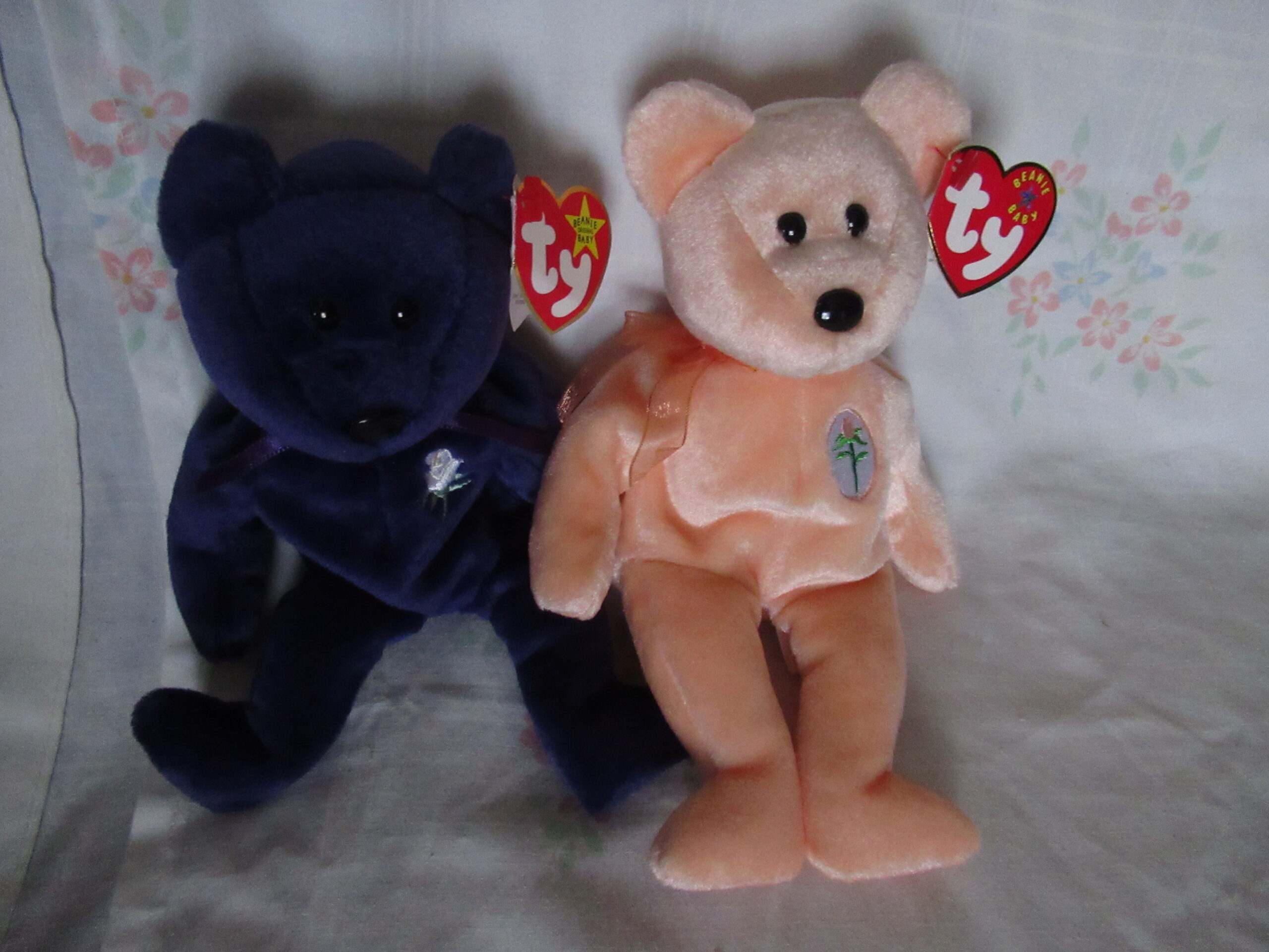 Princess, Dearest, Curly, Signature Bear, Clubby IV, Woody - Image 8