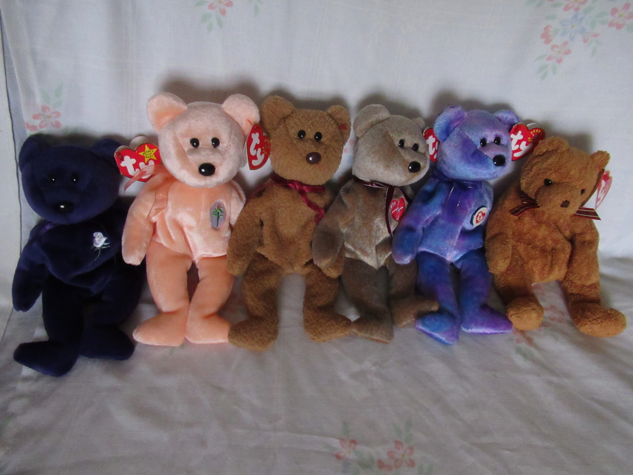 Princess, Dearest, Curly, Signature Bear, Clubby IV, Woody