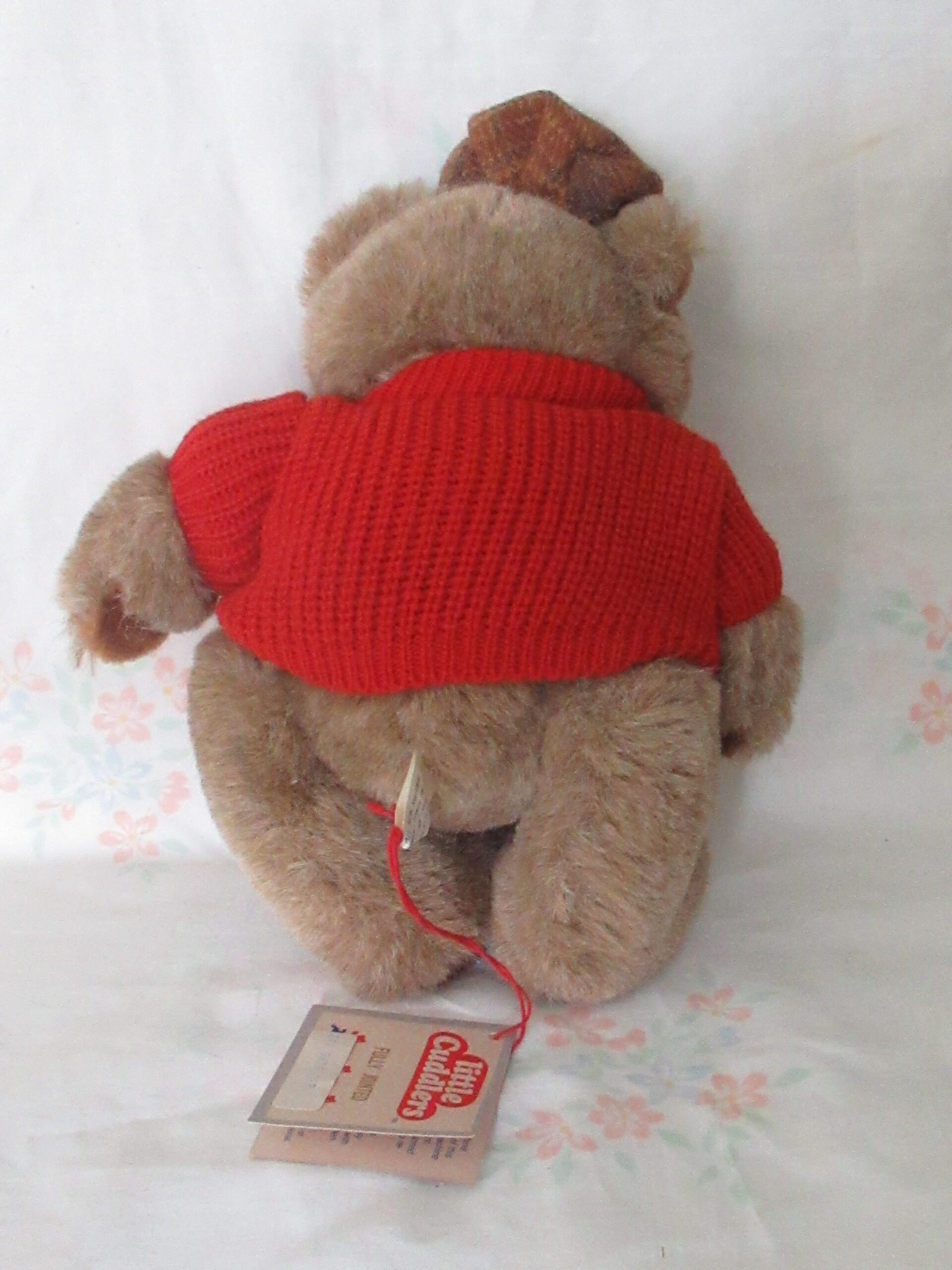 Bear with Vest, Bear with Sweater and Cap, Bear with Sweater - Image 5