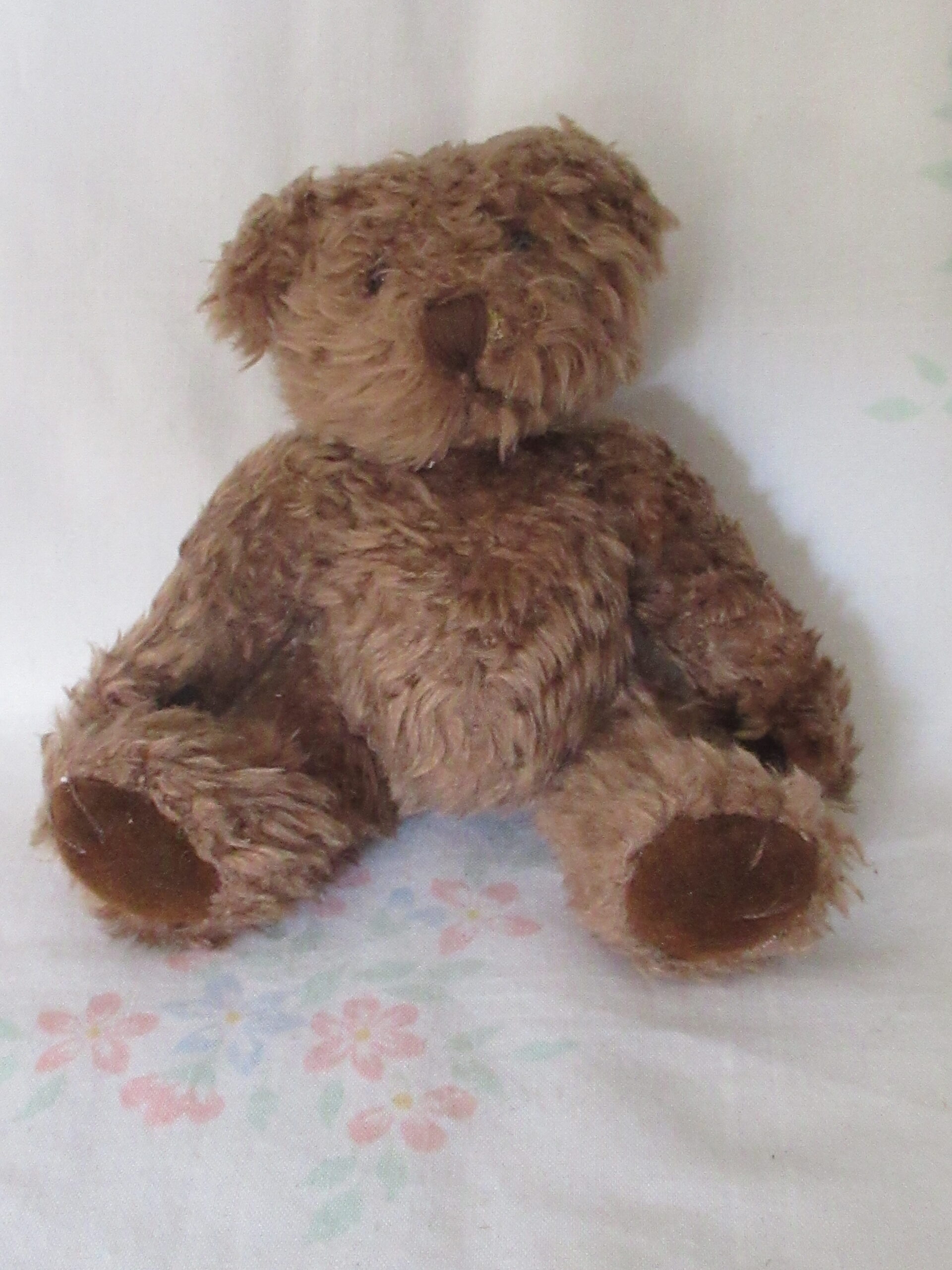 Russ Bears - Browning, Boodles, Schubert and brown bear - Image 11