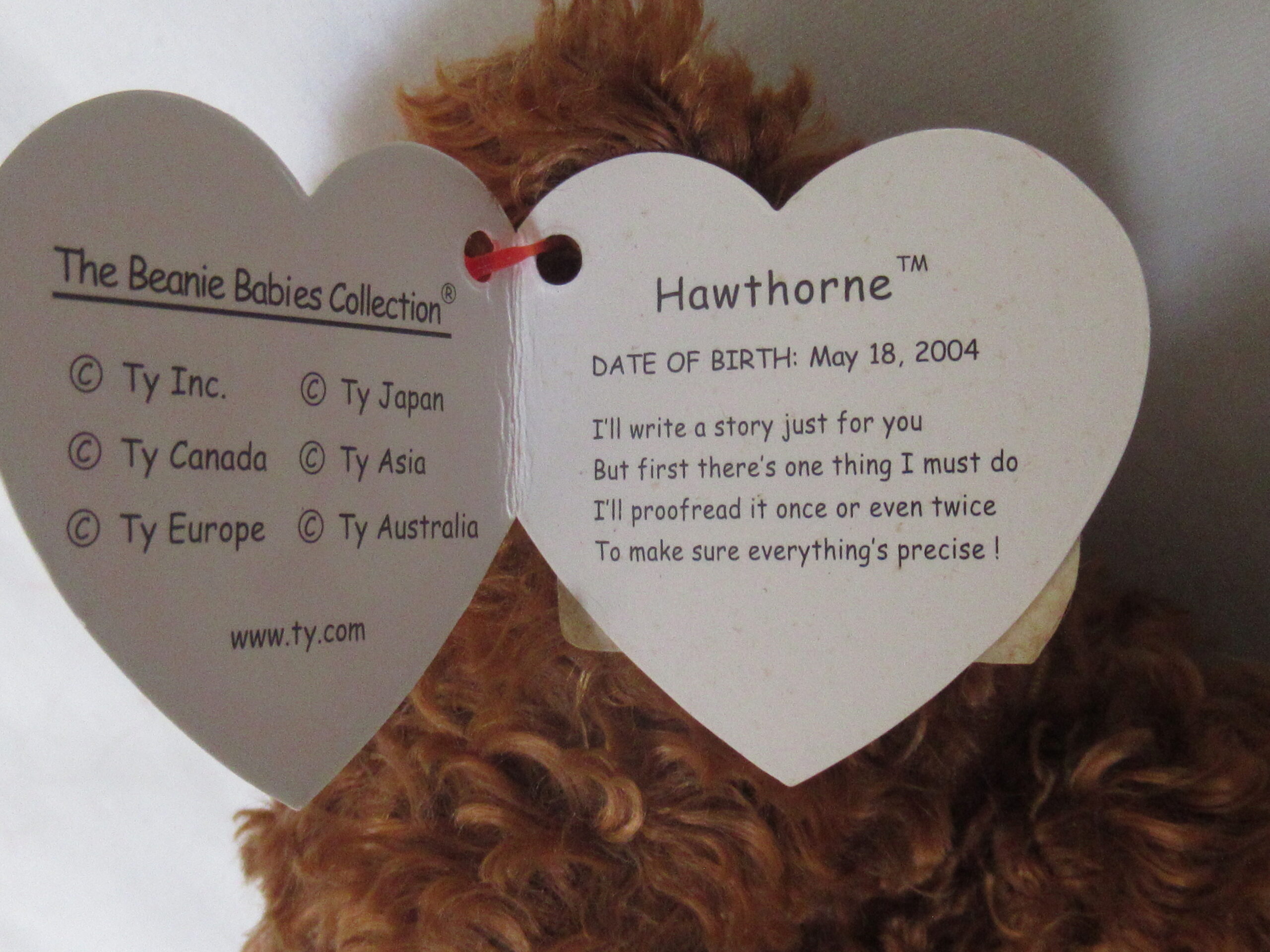 Ty - Jangle, Jointed Brown Bear 1990, Cody and Hawthorne - Image 13