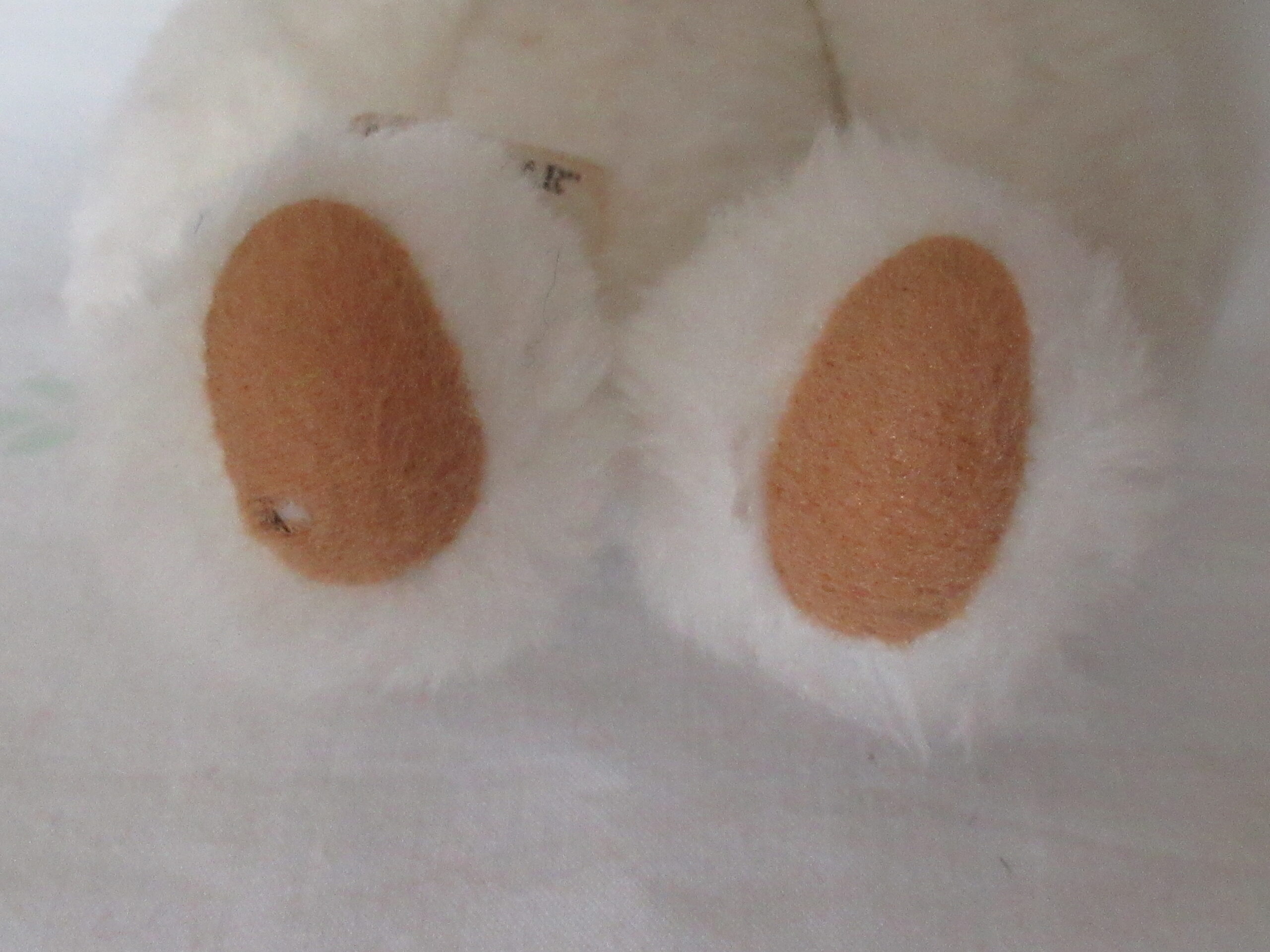 Jointed Teddy Bear - The Owassa Bear By Jenny - Image 5