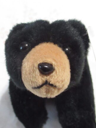 Mato Second in Series Running Strong American Indian Youth