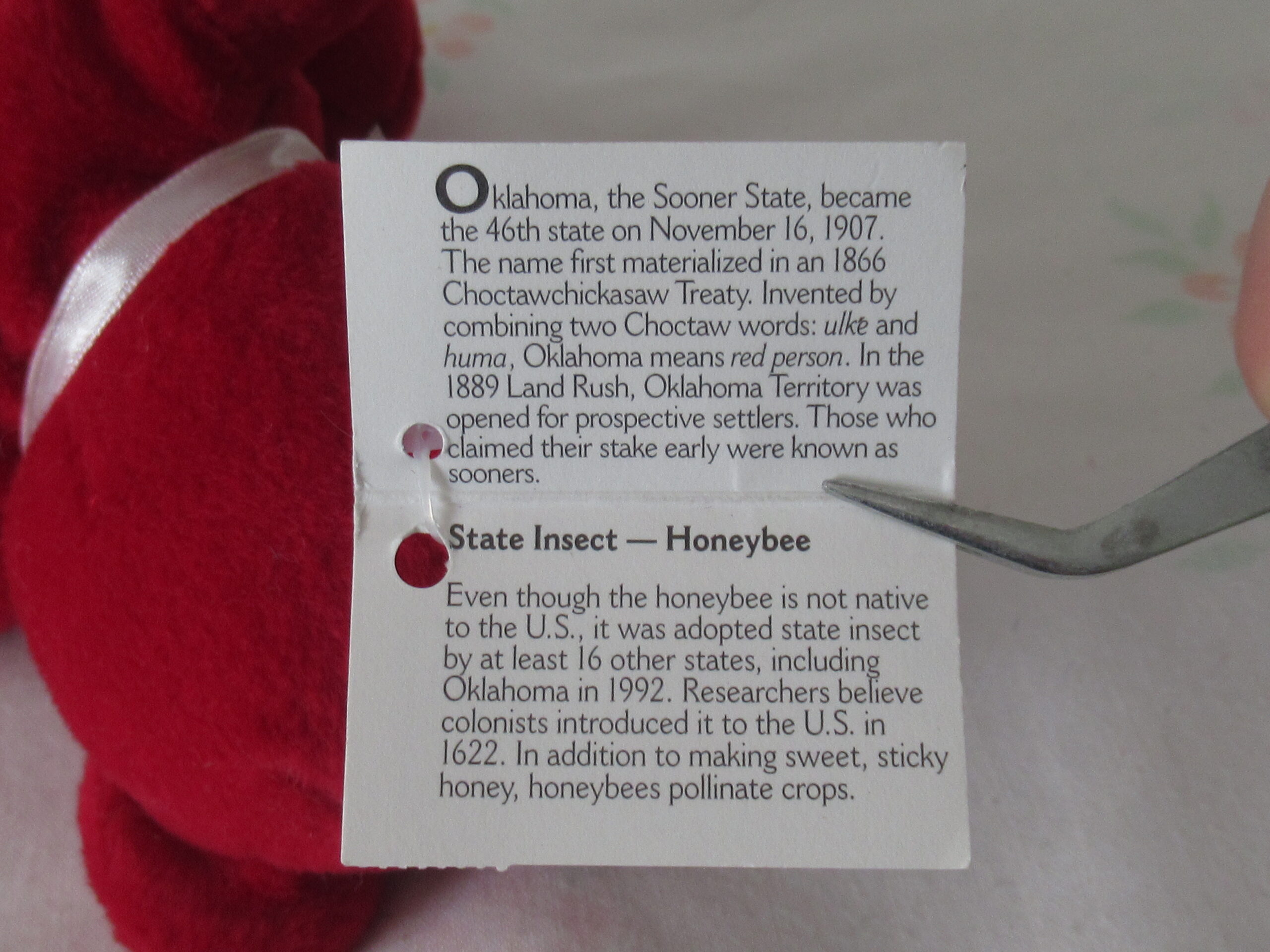 Mary Meyer Vermont Blackie and Symbolz Oklahoma Teddy Bear - Image 10