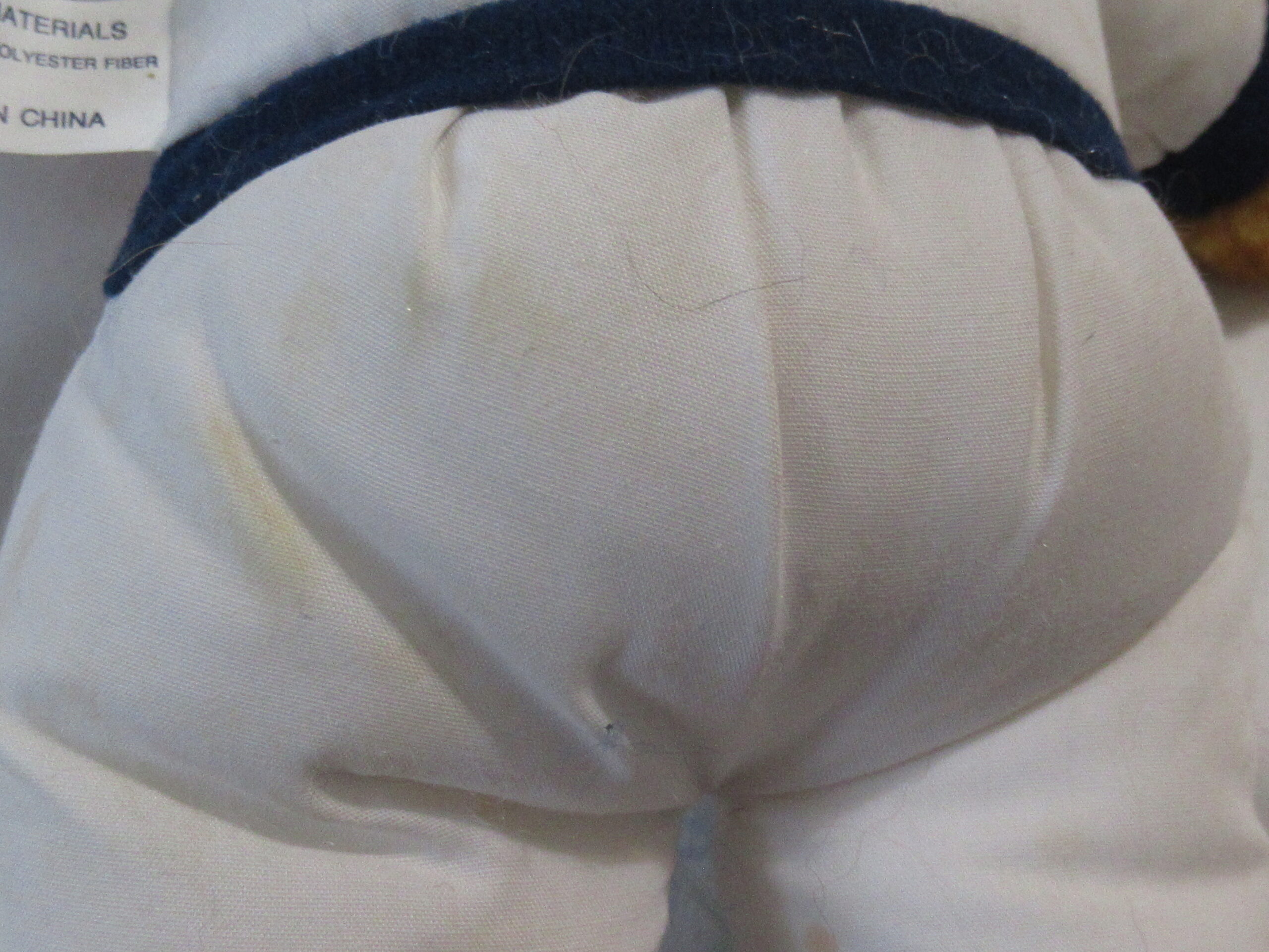 Harlem Globetrotters, Bichette, Diamond Backs, Angels Bear - Image 16