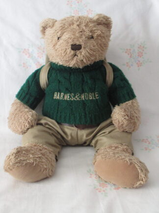 Barnes & Noble Teddy Bear with Sweater, Pants and Backpack