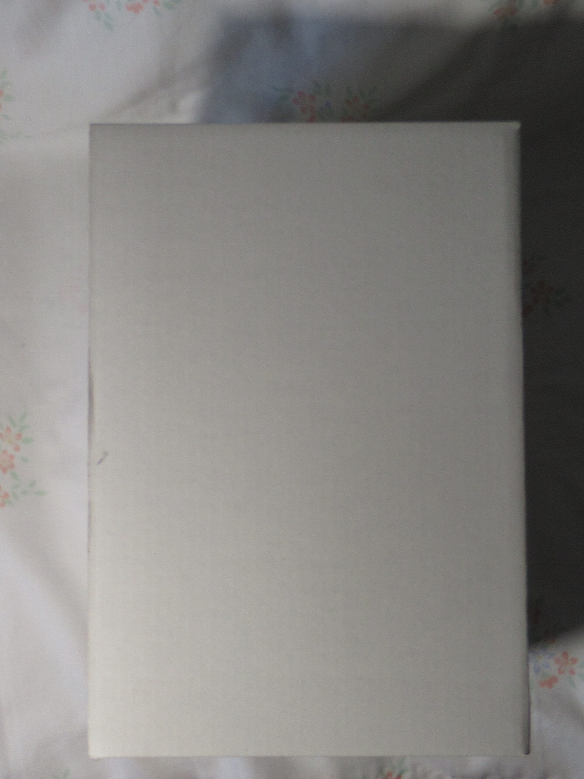 Cooperstown Bears 1908 Chicago Cubs LTD 1905/2500 - Image 11