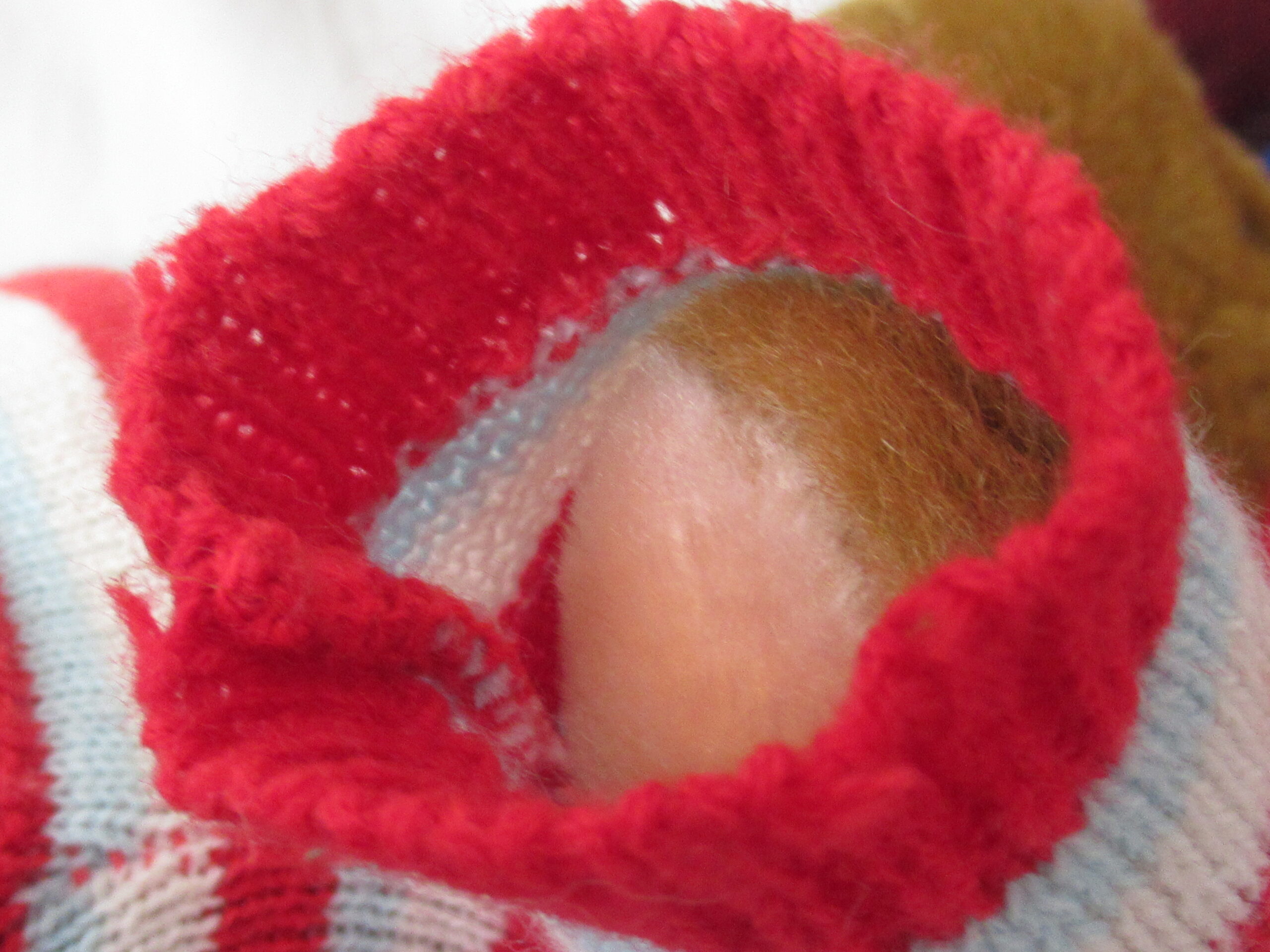 Mary Meyer Teddy Bear with Sweater Scarf and Cap - Image 6