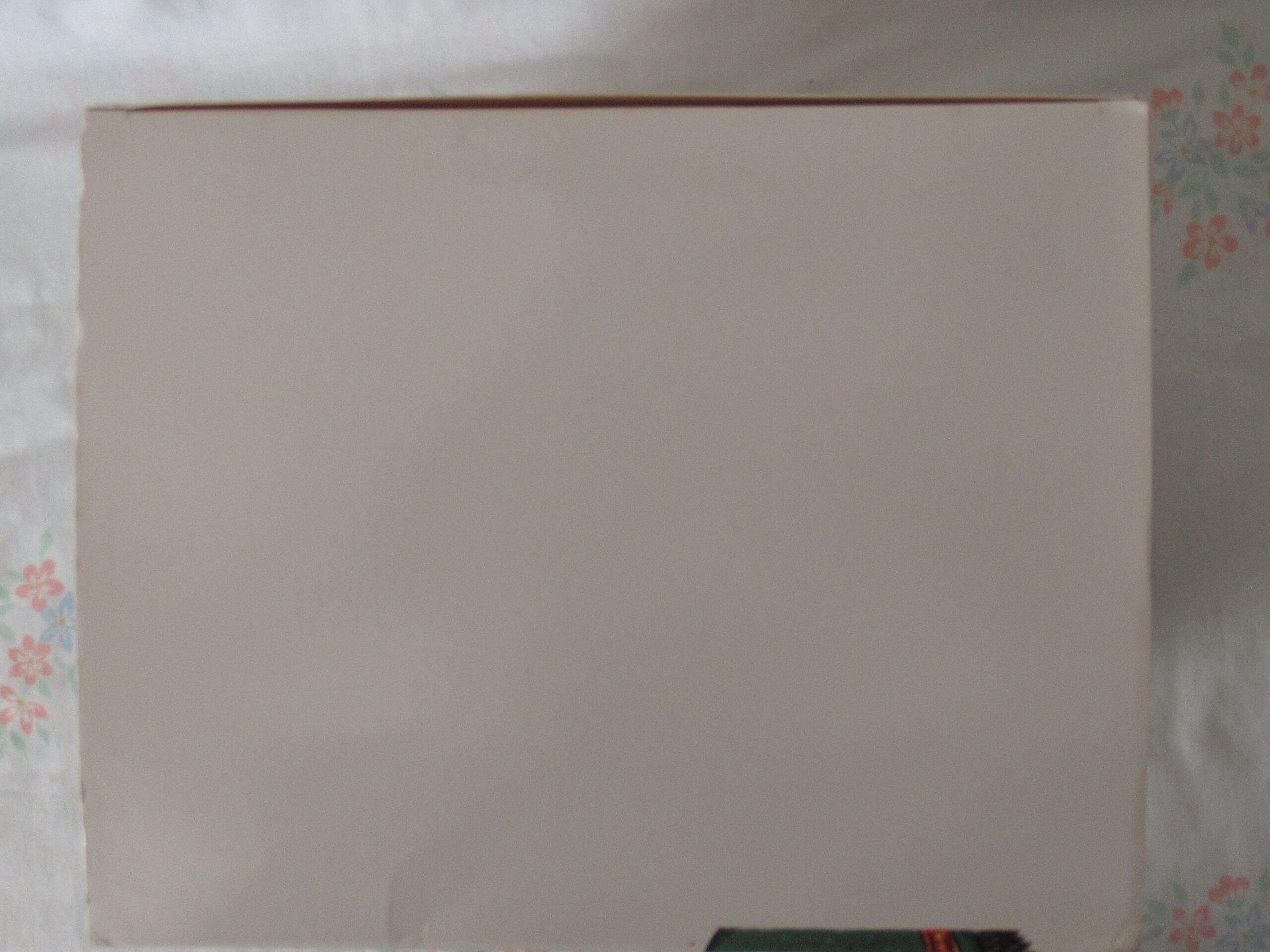 Gund for Lands End Explorer Bears - Bearon von Oops - Image 16