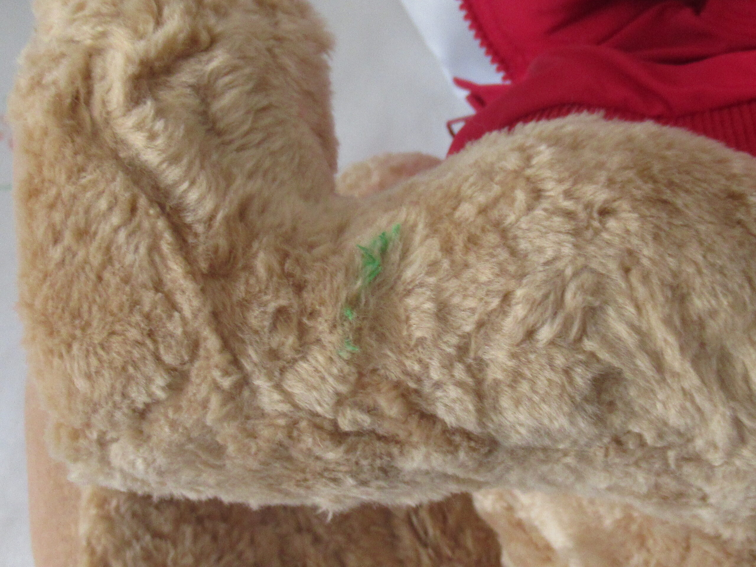 Gund for Lands End Explorer Bears - Bearon von Oops - Image 9