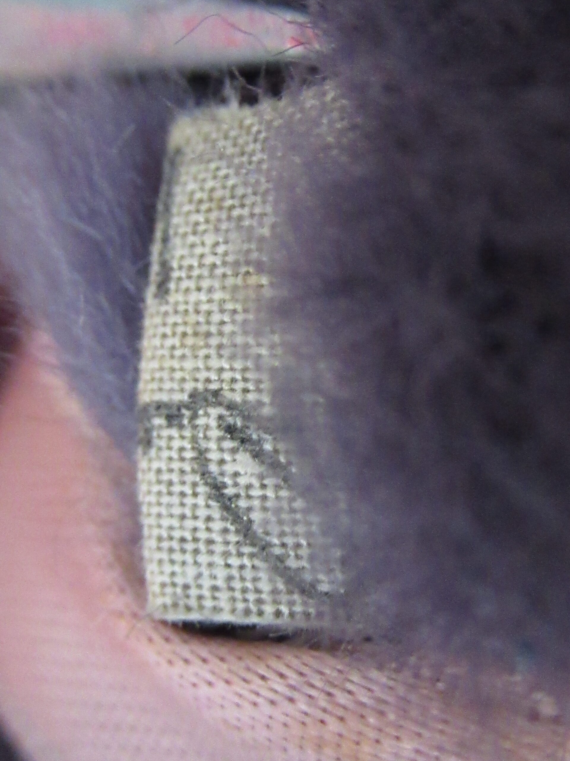 Handcrafted by George and Delphine Teddy Bear - Image 6