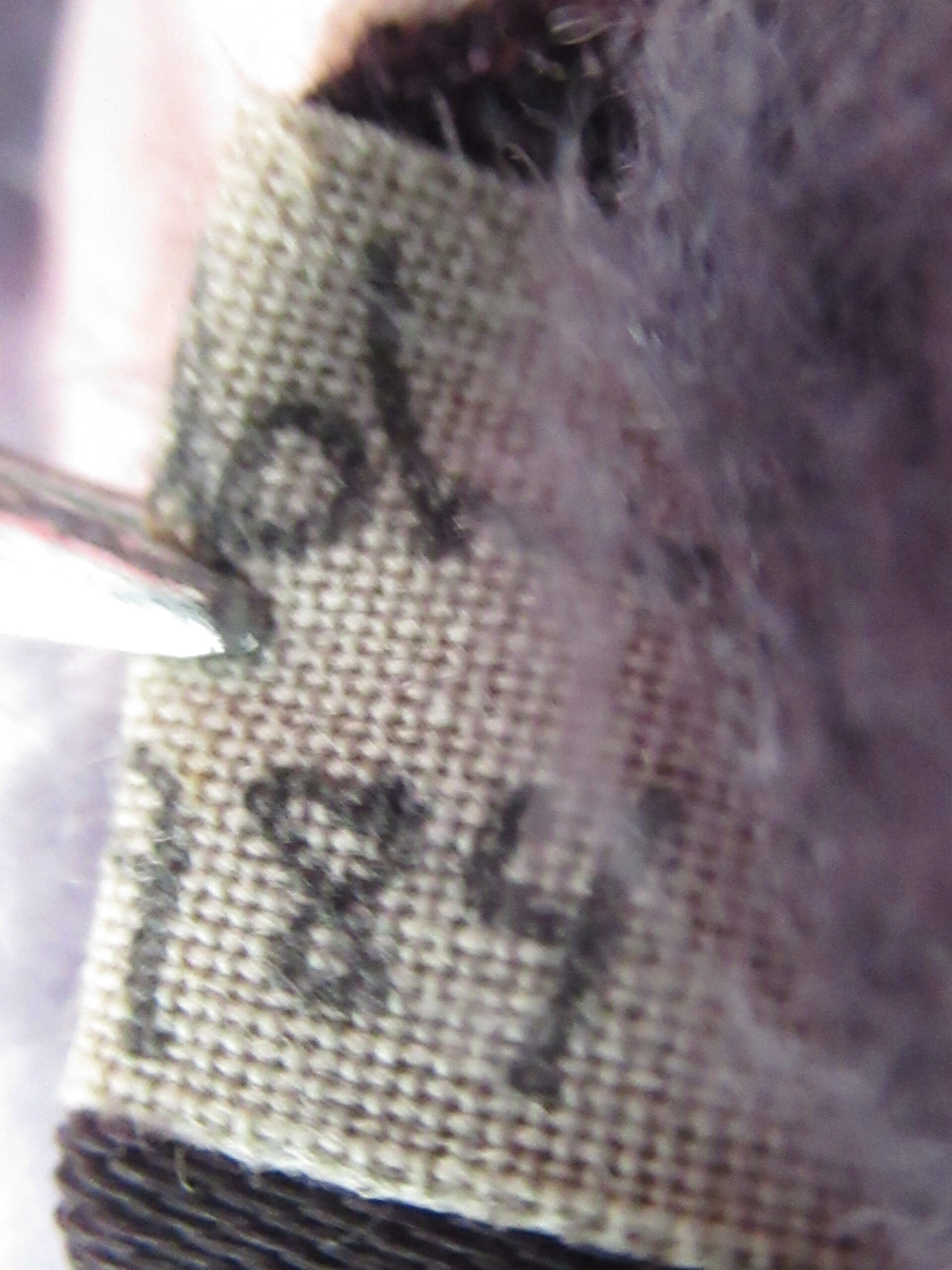 Handcrafted by George and Delphine Teddy Bear - Image 7