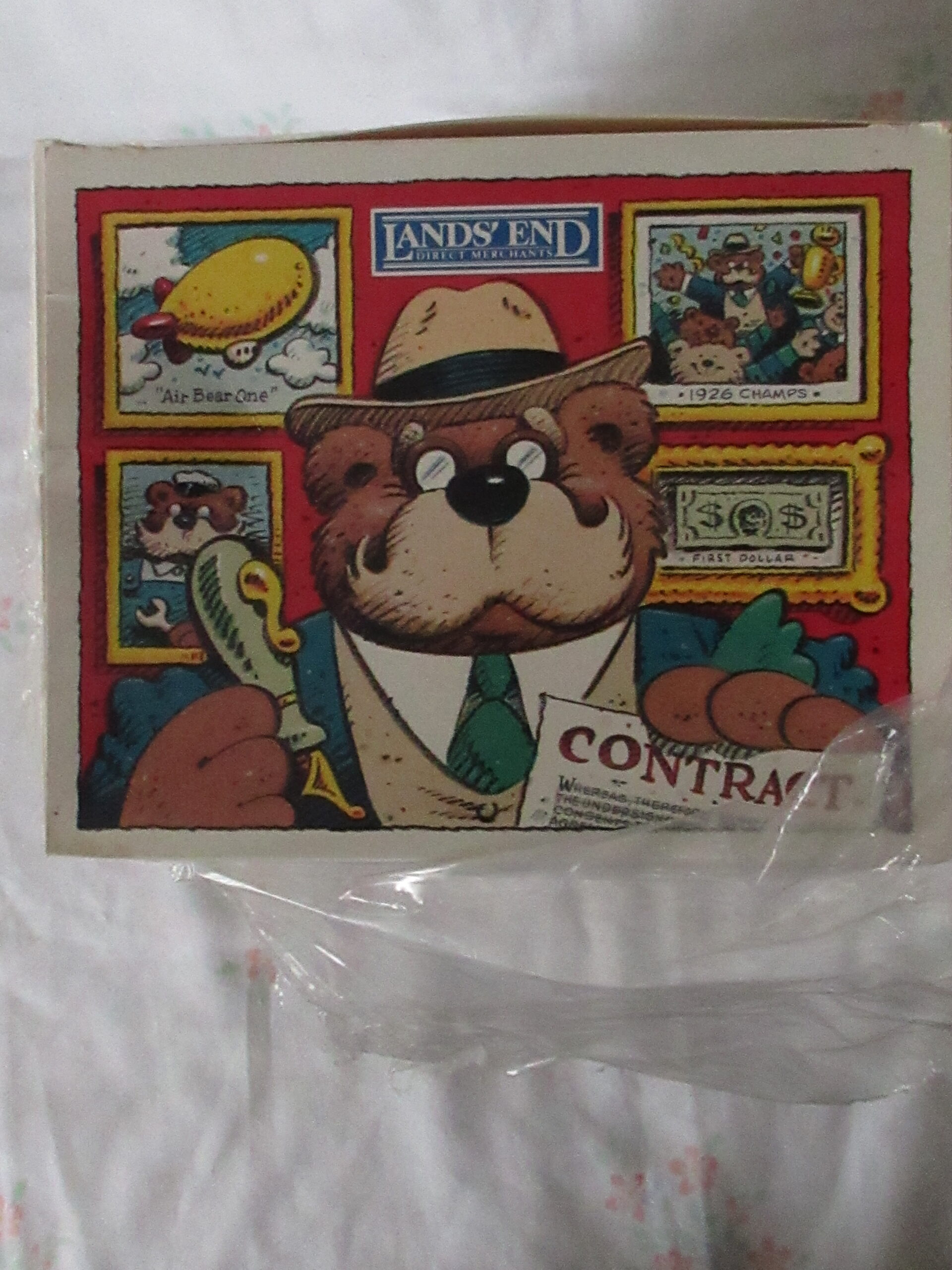 Gund for Lands End Authentic Rugby Bear - Big Daddy Owner - Image 13