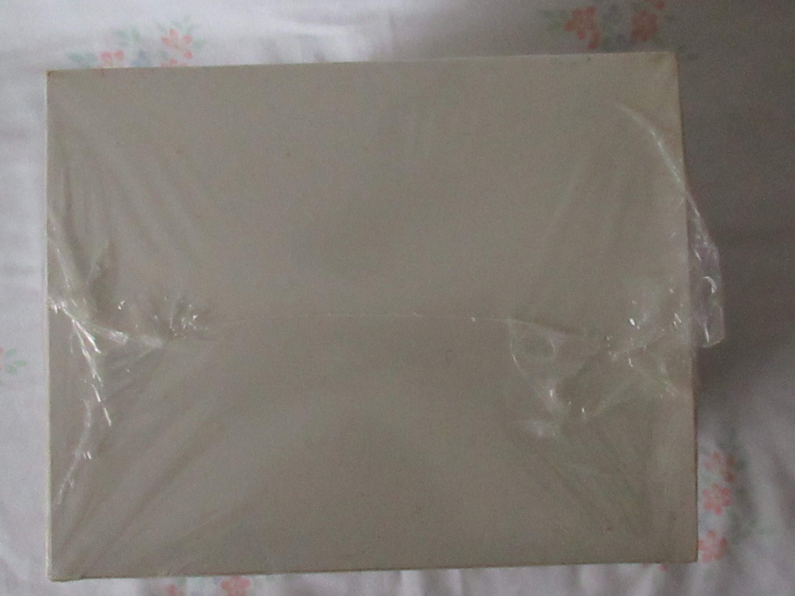 Gund for Lands End Authentic Rugby Bear - Big Daddy Owner - Image 14