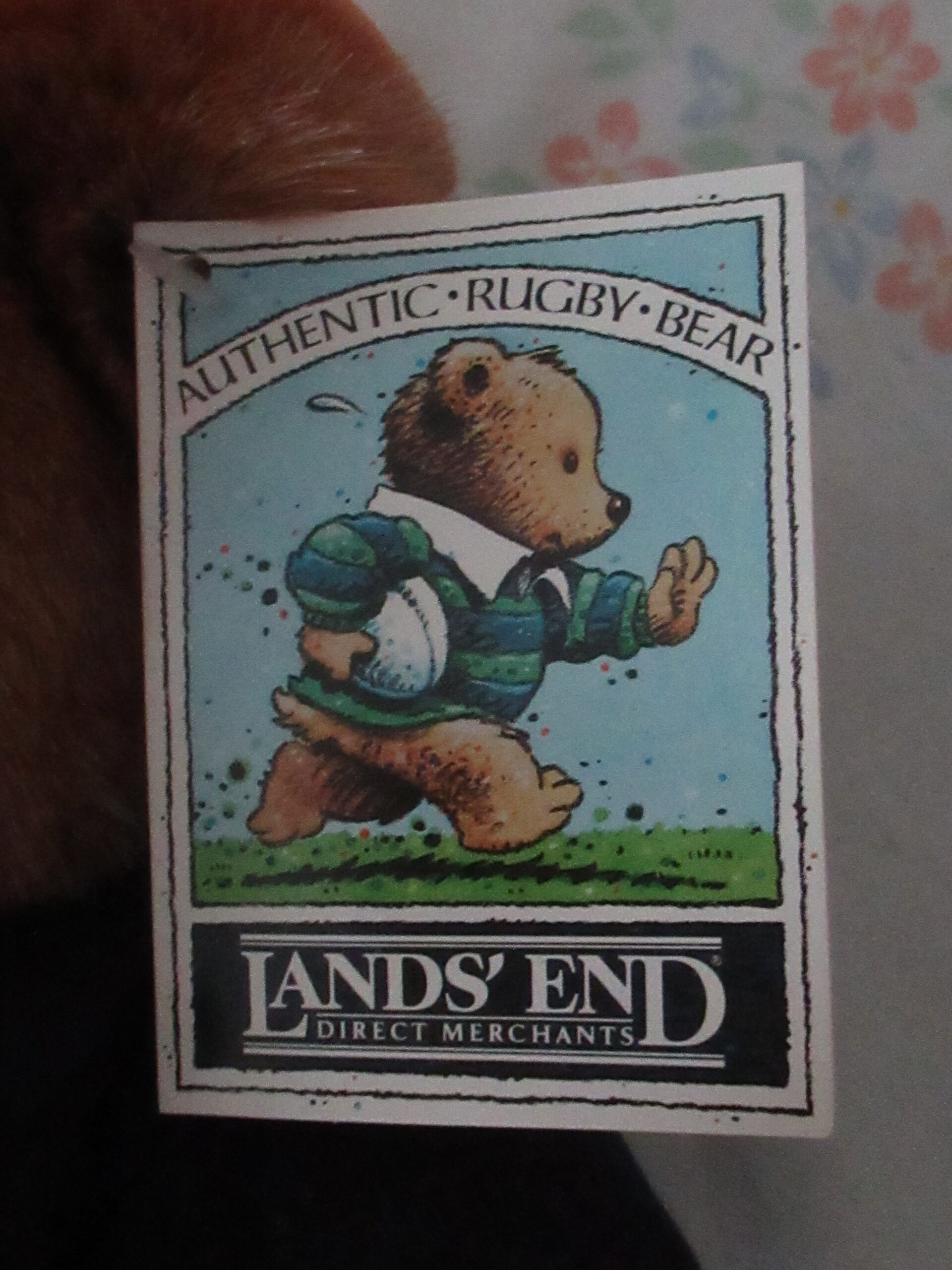 Gund for Lands End Authentic Rugby Bear - Big Daddy Owner - Image 6