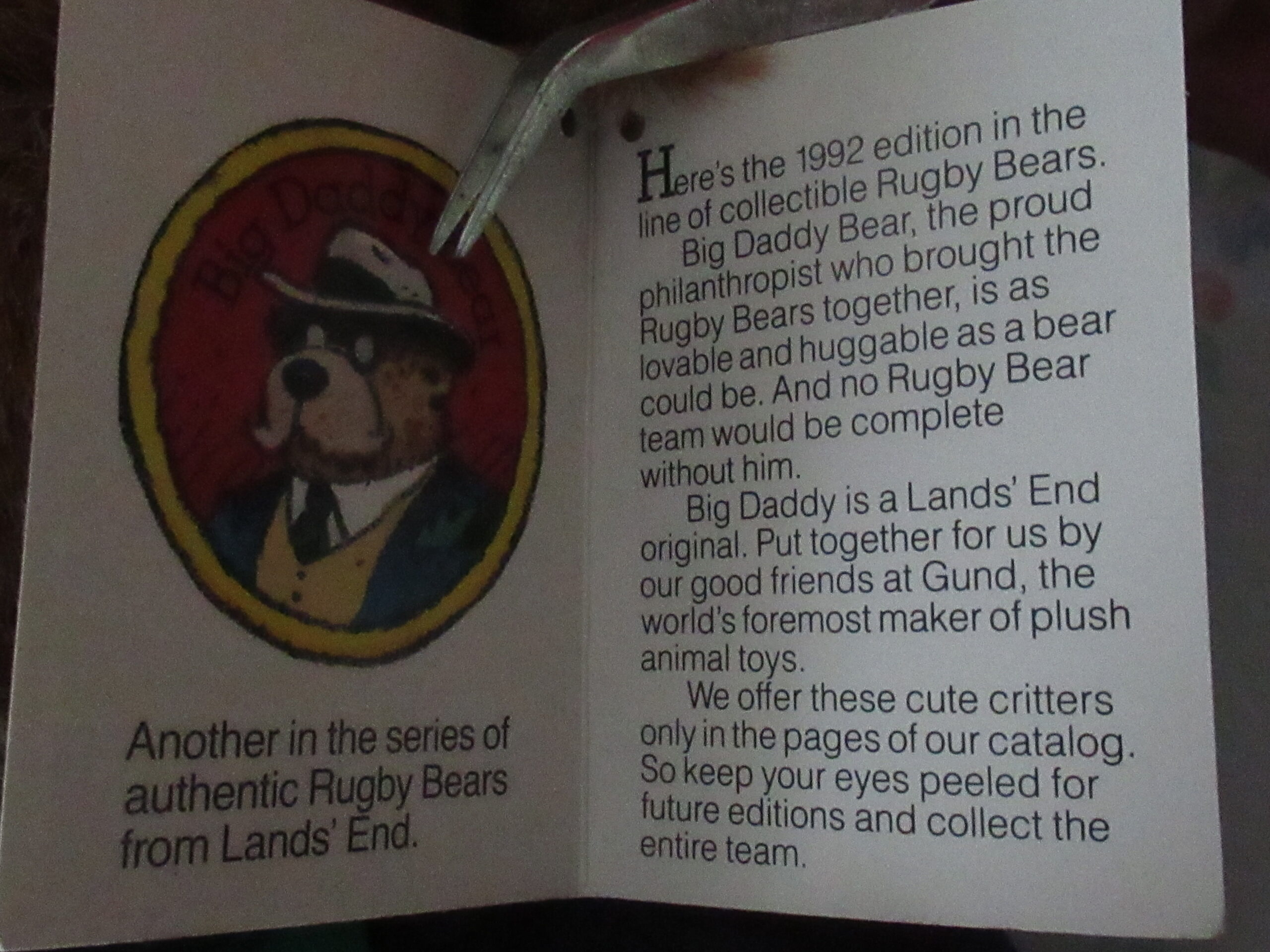 Gund for Lands End Authentic Rugby Bear - Big Daddy Owner - Image 8