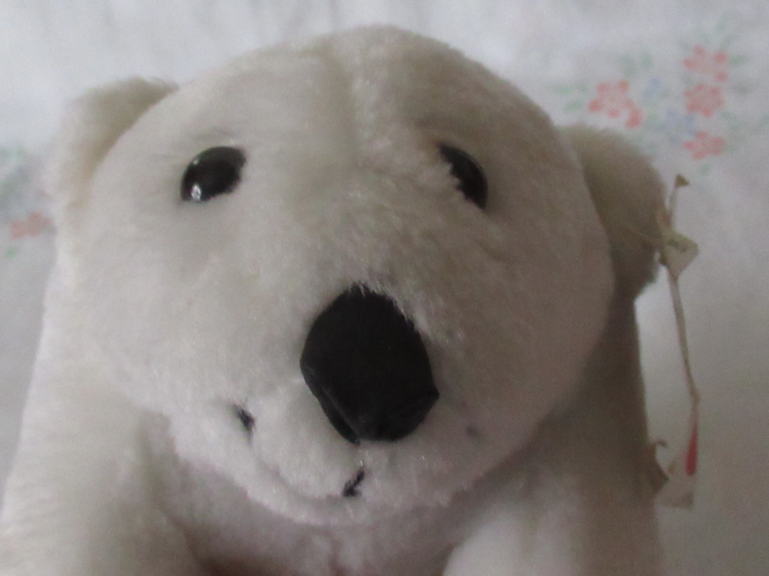 Coca-Cola Bears - Bear With Cap and Bottle, Bear With Ball - Image 4