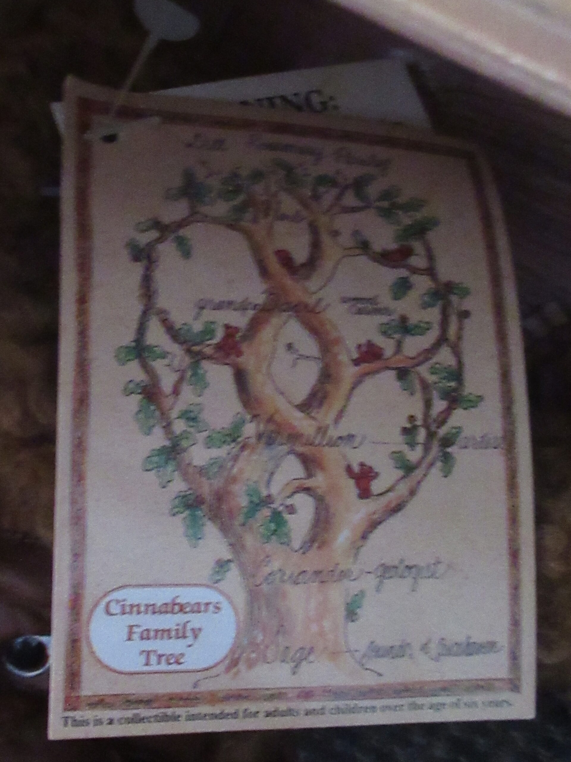 Gund Cinnabears Grandpa Basil Original Presentation Package - Image 14