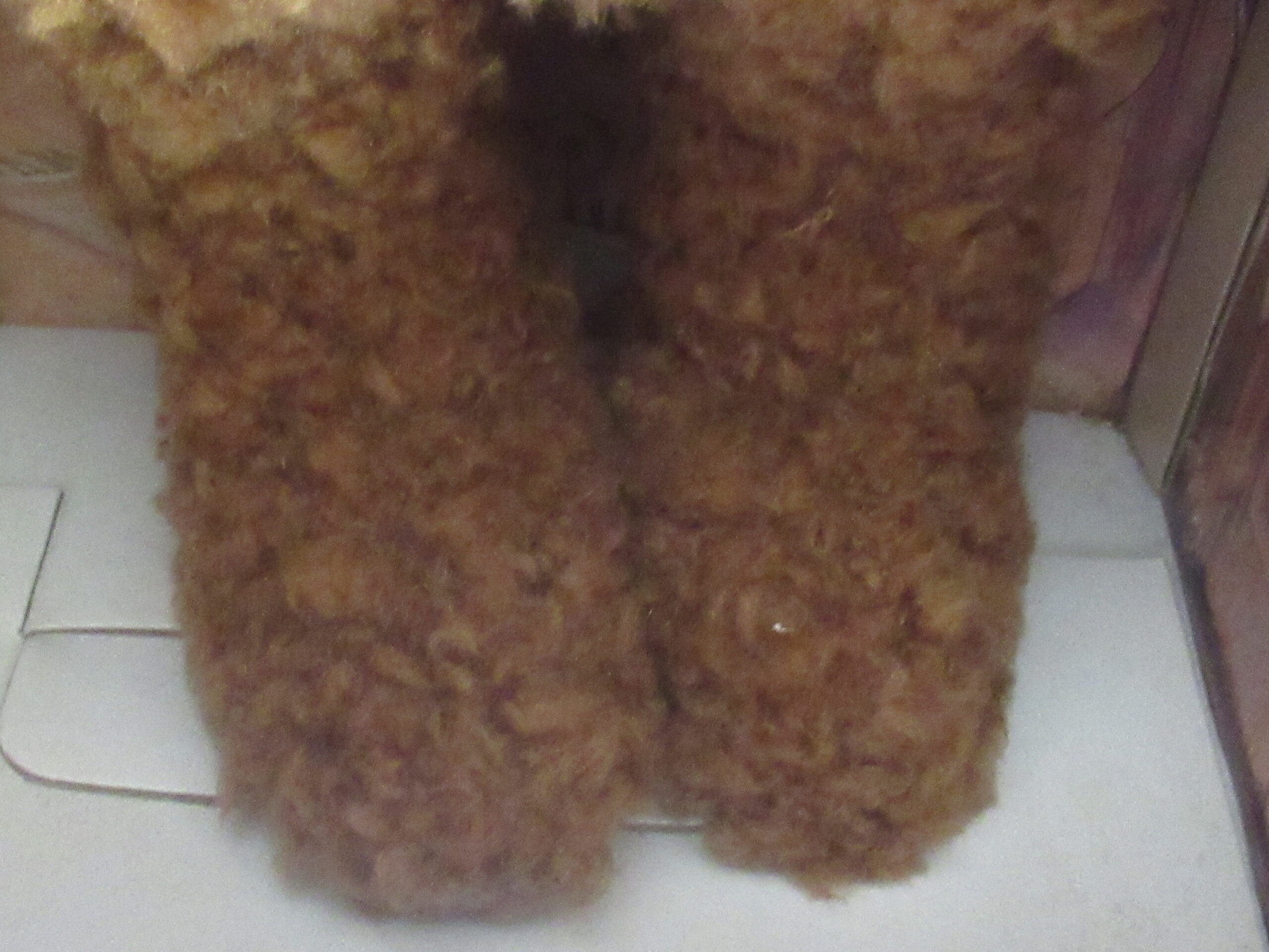 Gund Cinnabears Grandpa Basil Original Presentation Package - Image 7