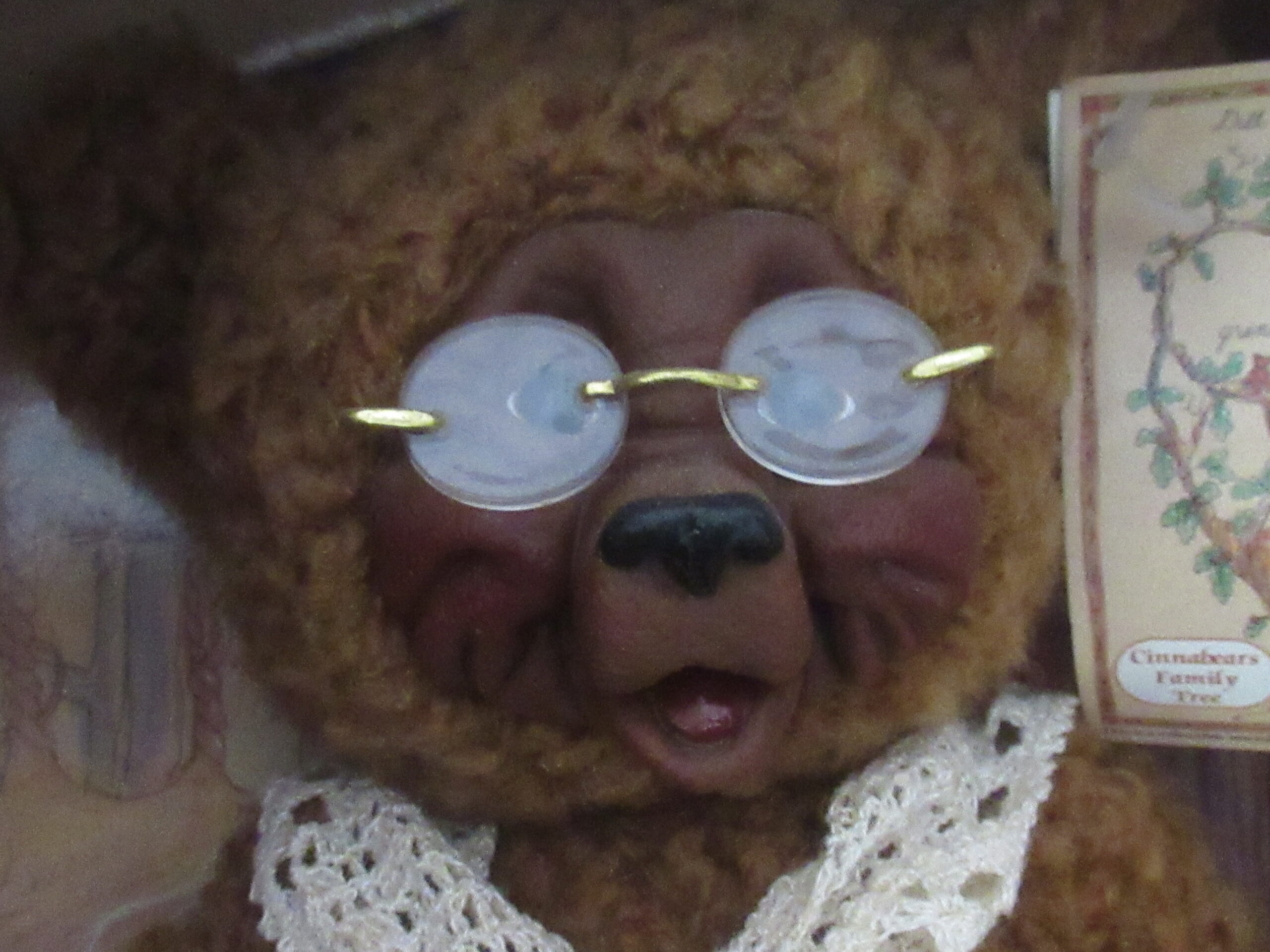 Gund Cinnabears Nana Nutmeg in Original Presentation Package - Image 3