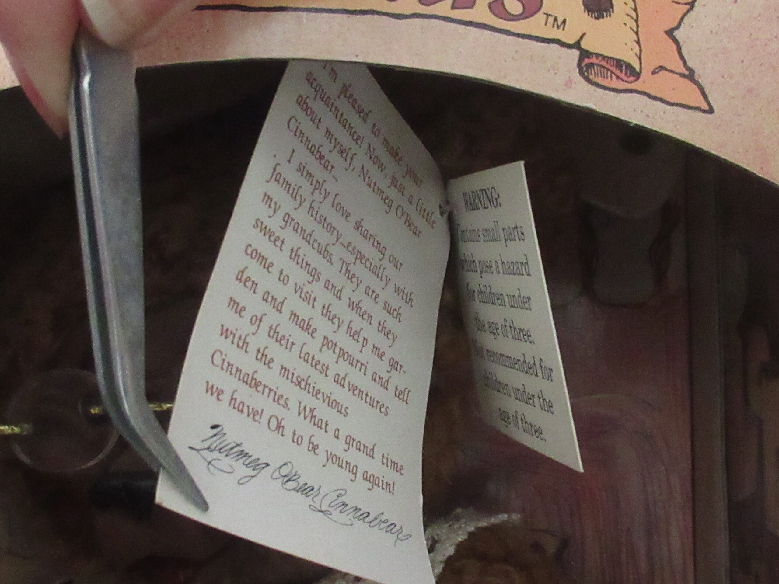 Gund Cinnabears Nana Nutmeg in Original Presentation Package - Image 13