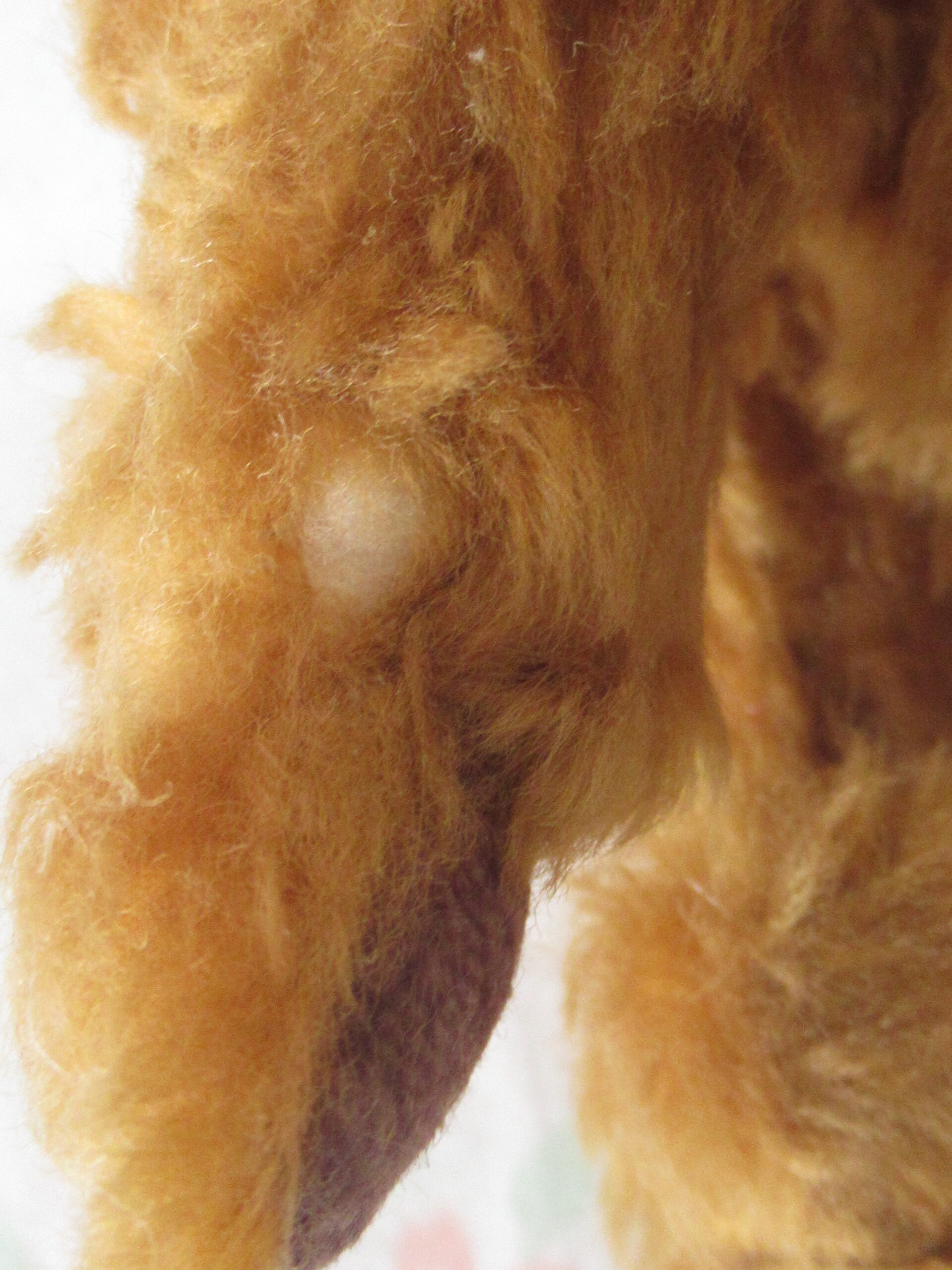 7.5 Inch Jointed Brown Teddy Bear with Cream Bow - Image 5